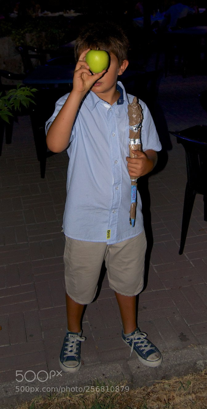 Nikon D60 sample photo. Version photography