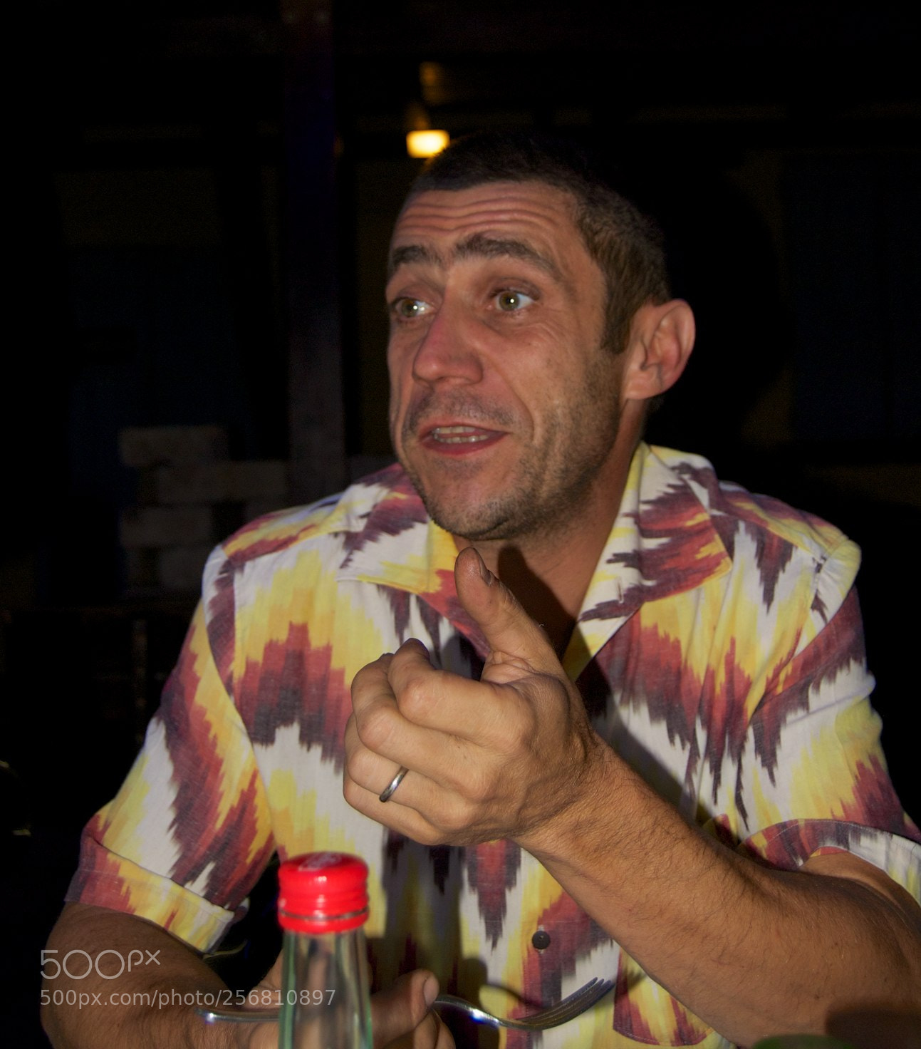 Nikon D60 sample photo. Version photography