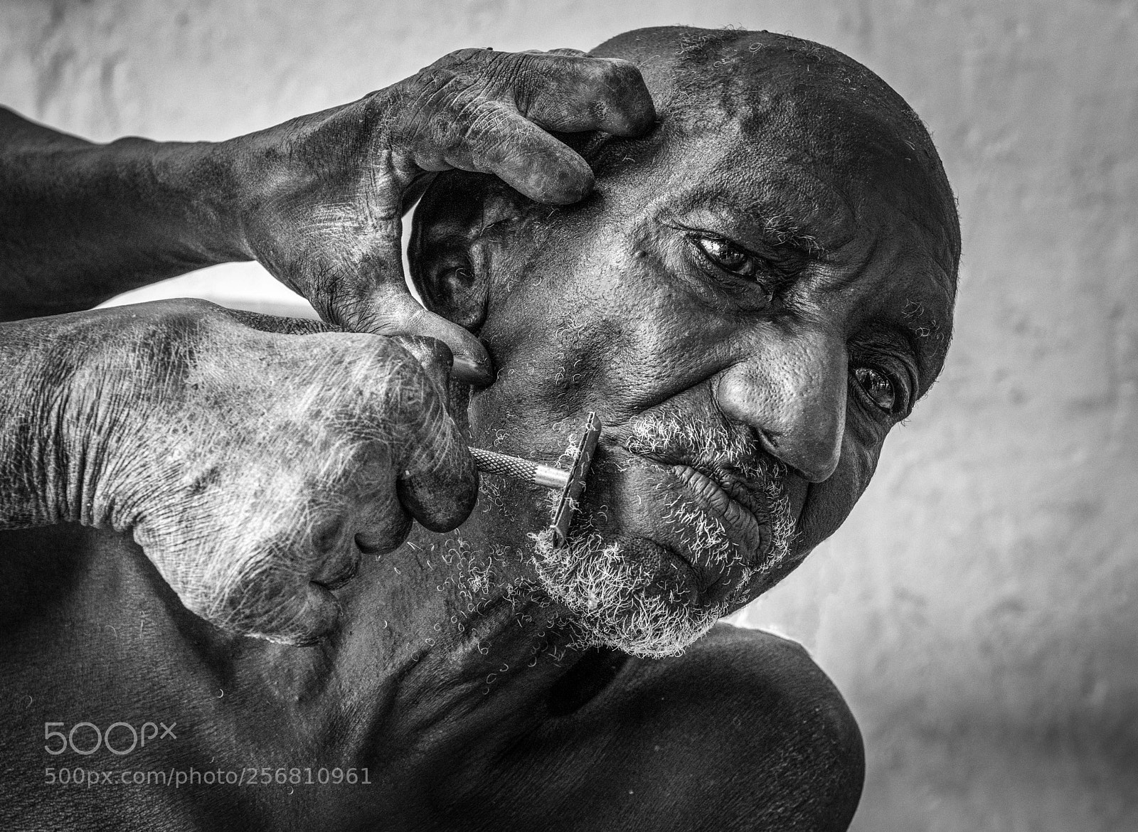 Nikon D800 sample photo. Shaving photography