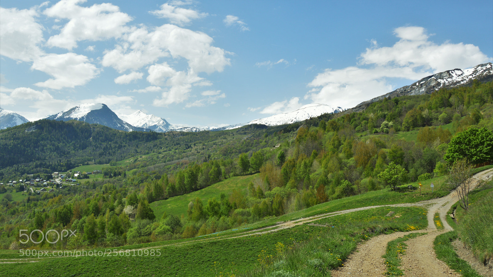 Nikon D3200 sample photo. Untitled photography