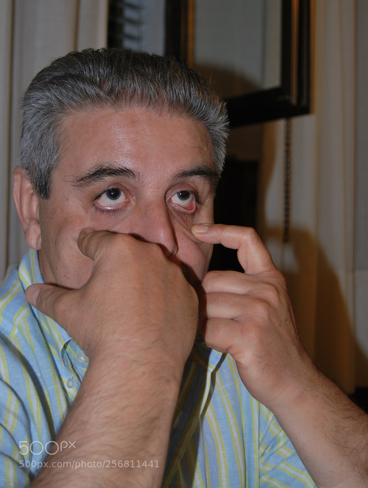 Nikon D60 sample photo. Version photography