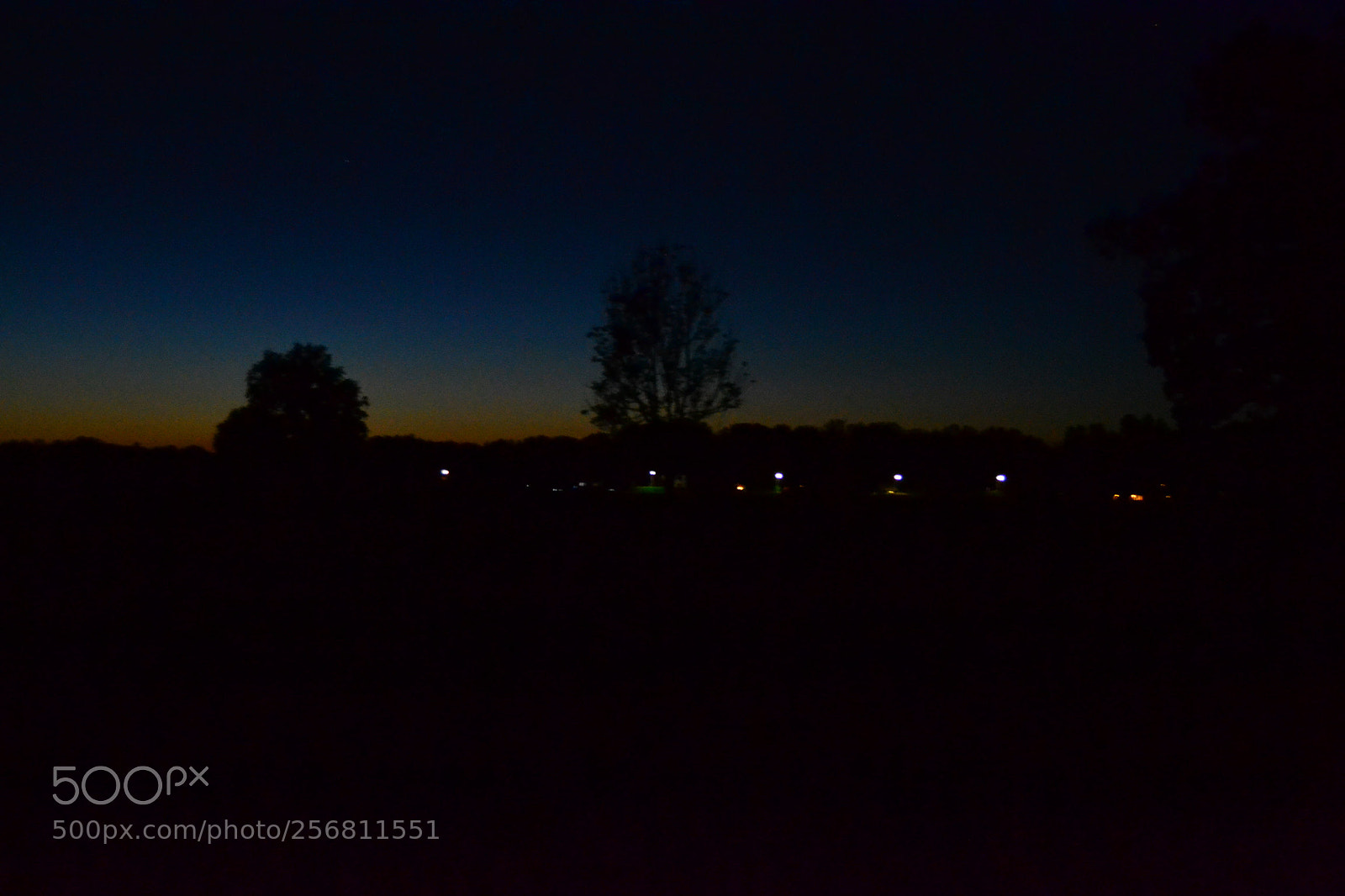 Nikon D3100 sample photo. Wenn es nacht wird photography