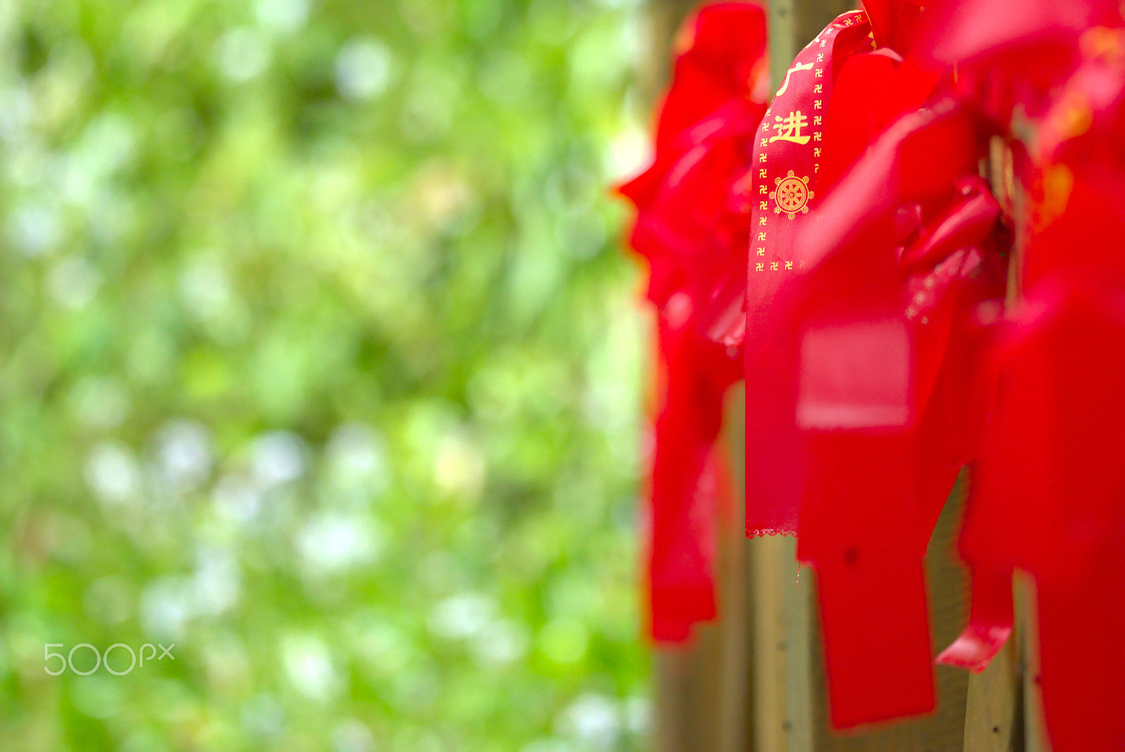 Nikon D810 sample photo. China photography