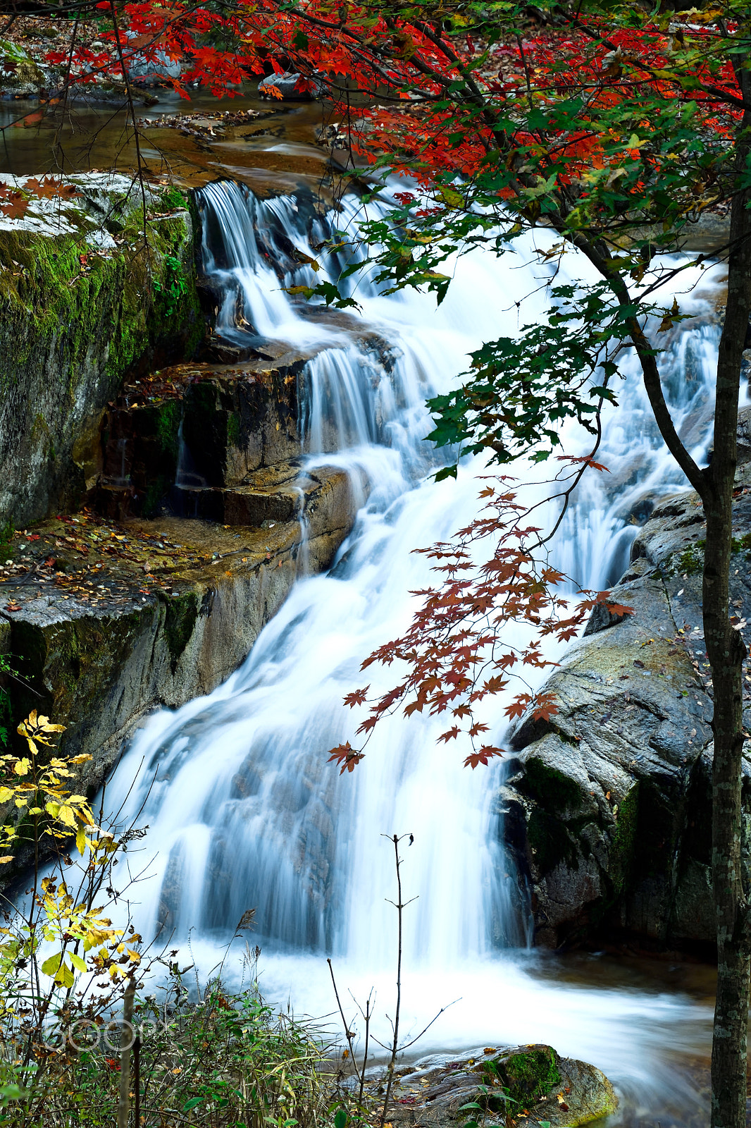Nikon D5500 sample photo. Late autumn photography