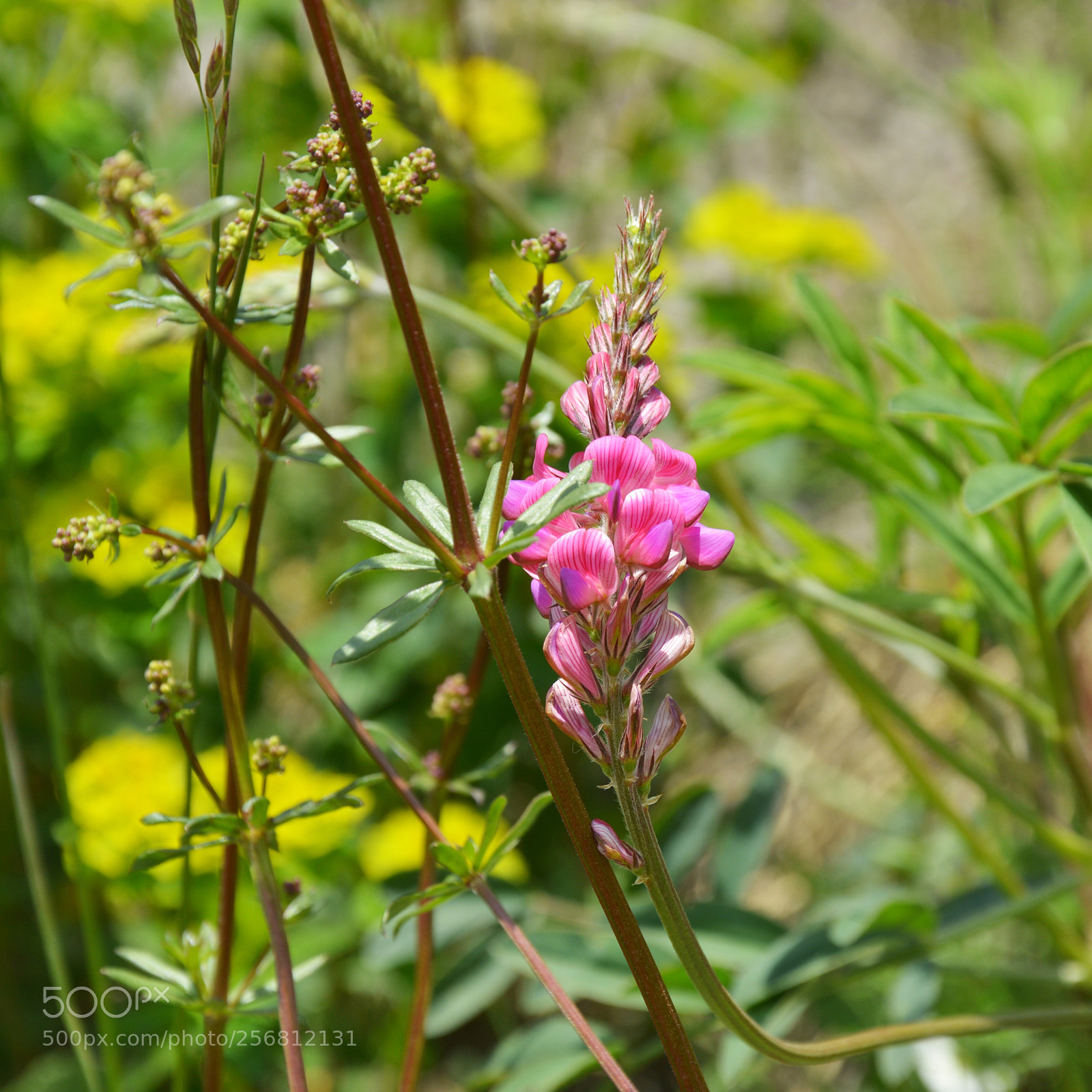 Nikon D3200 sample photo. Untitled photography