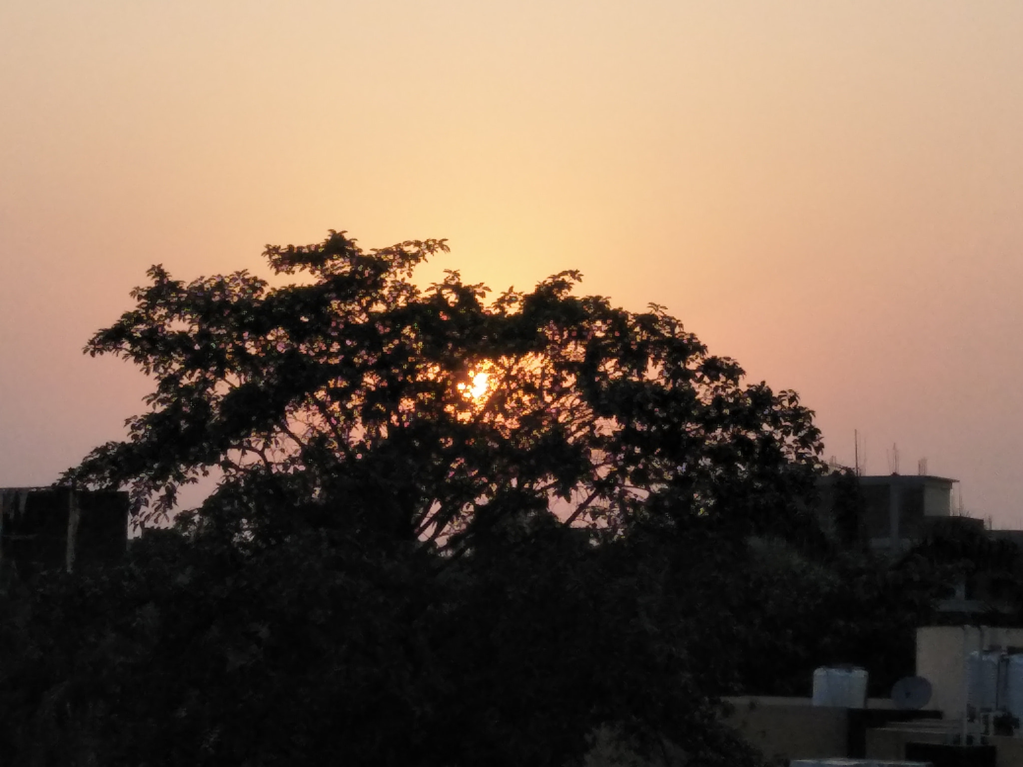 OPPO CPH1701 sample photo