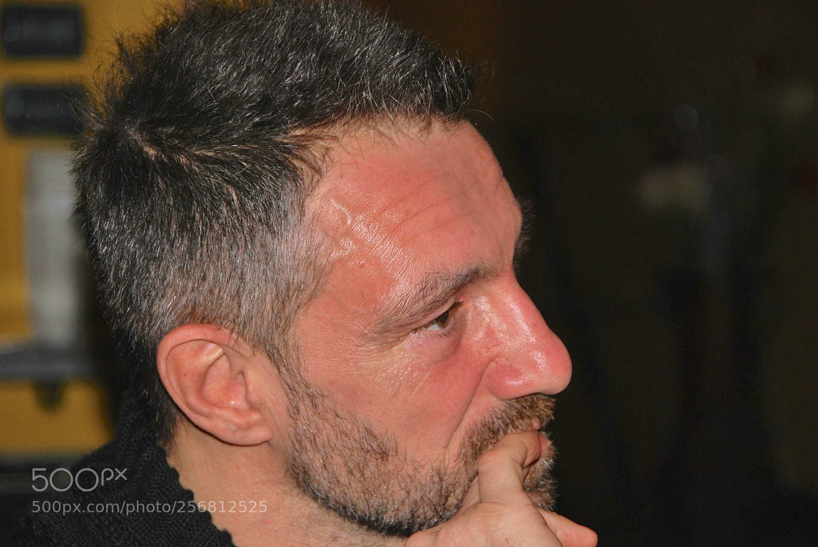 Nikon D60 sample photo. Version photography