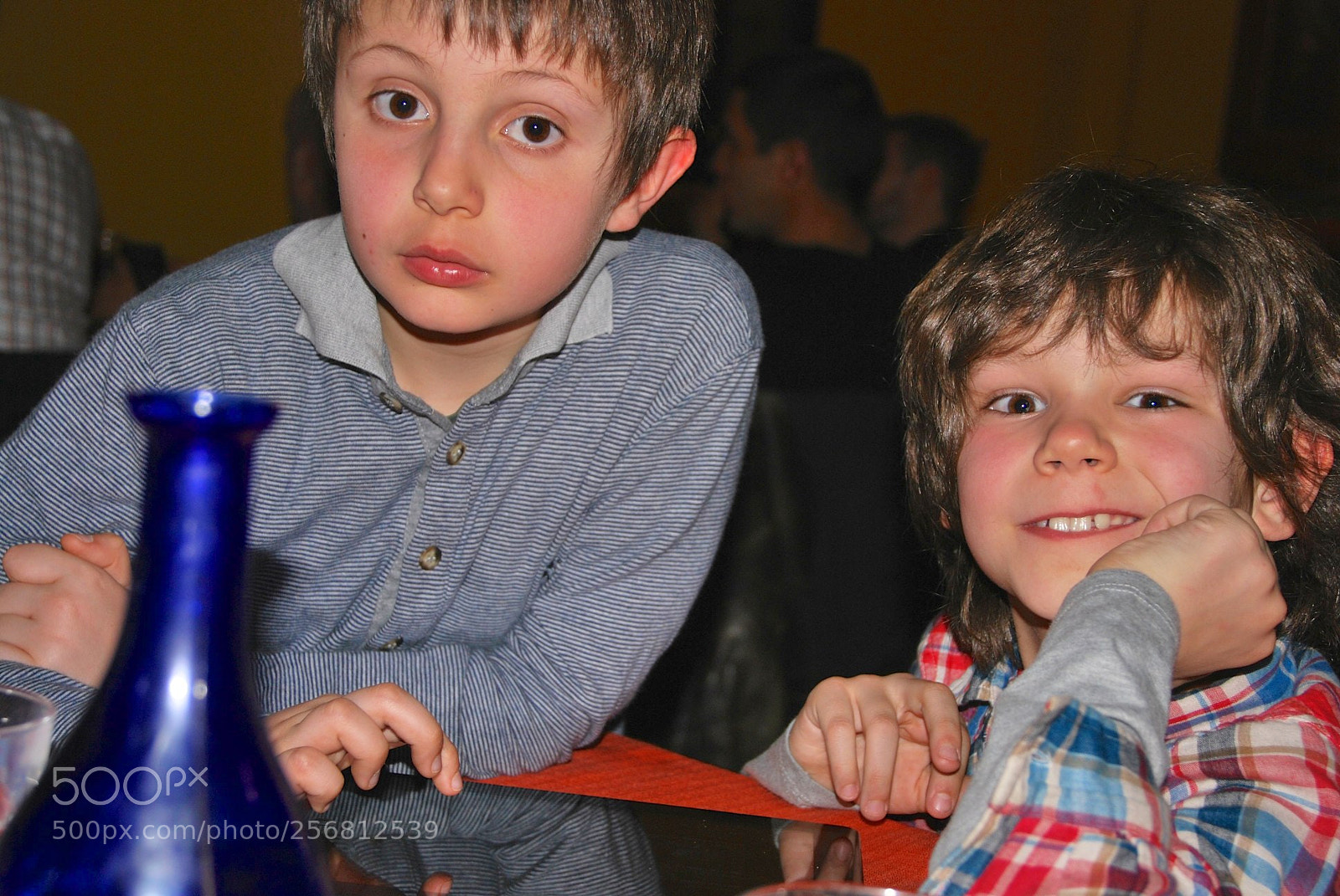 Nikon D60 sample photo. Version photography
