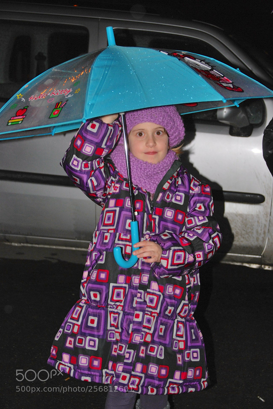 Nikon D60 sample photo. Version photography