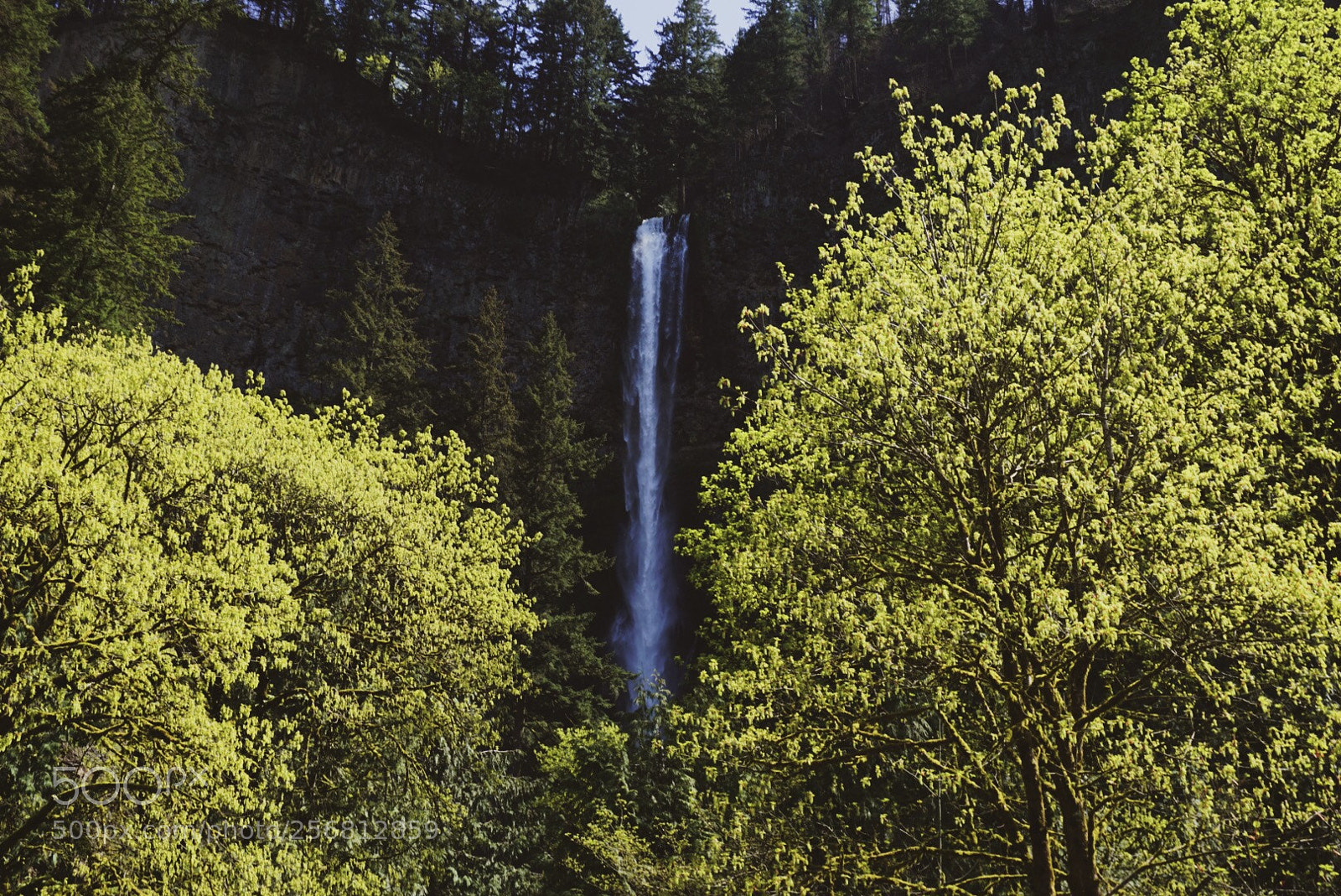 Sony a6000 sample photo. Multnomah falls photography