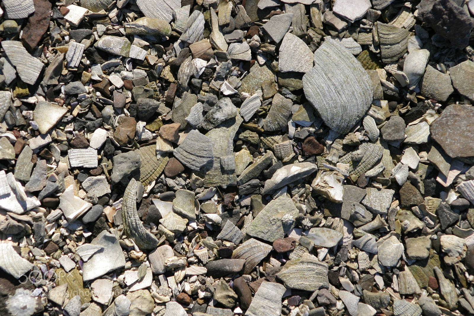 Canon EOS 10D sample photo. Beach photography