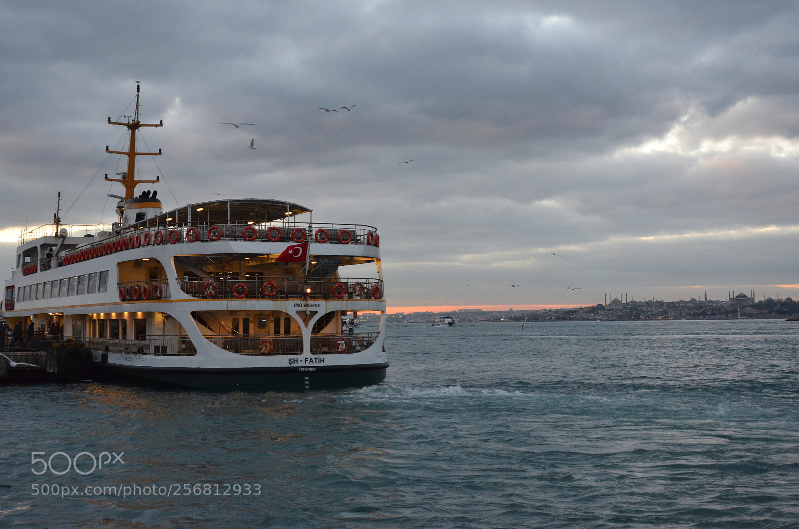 Nikon D7000 sample photo. . photography