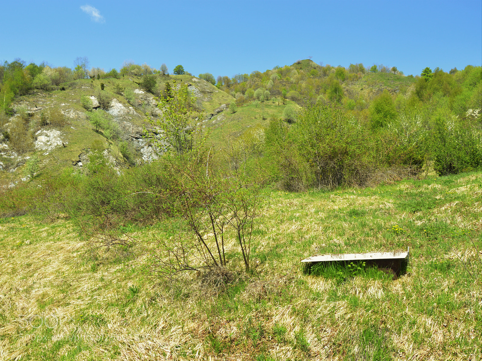 Nikon D3200 sample photo. Untitled photography
