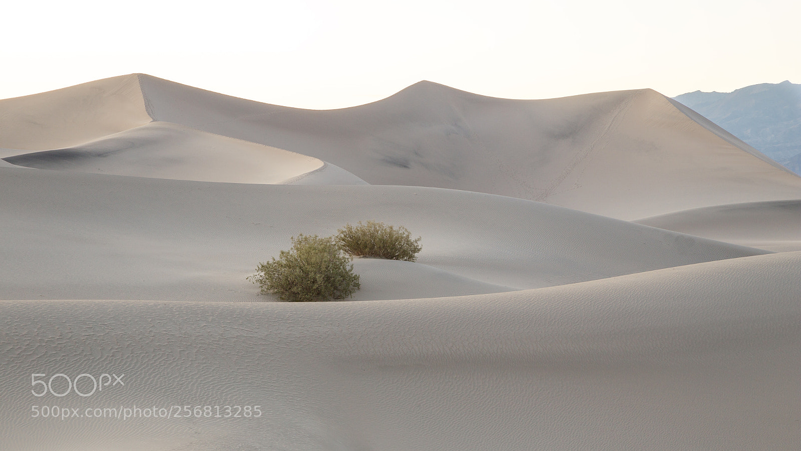Canon EOS 6D sample photo. Death valley sand dunes photography