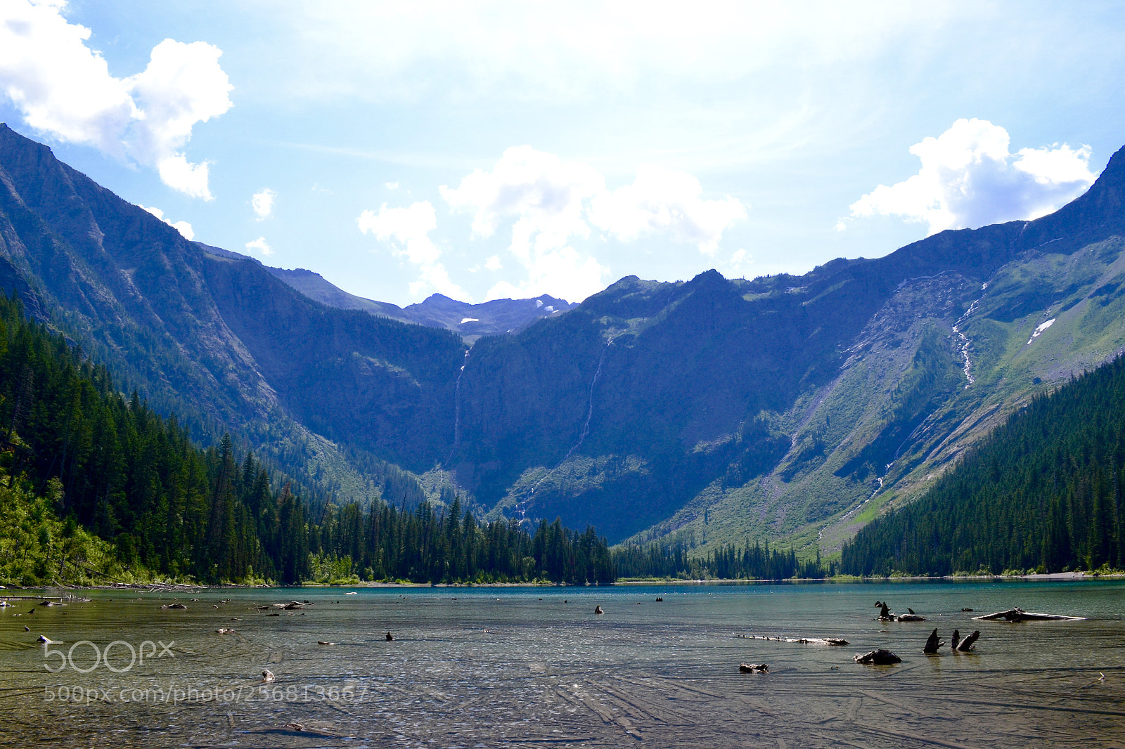 Nikon D3100 sample photo. Fullsizeoutput de photography