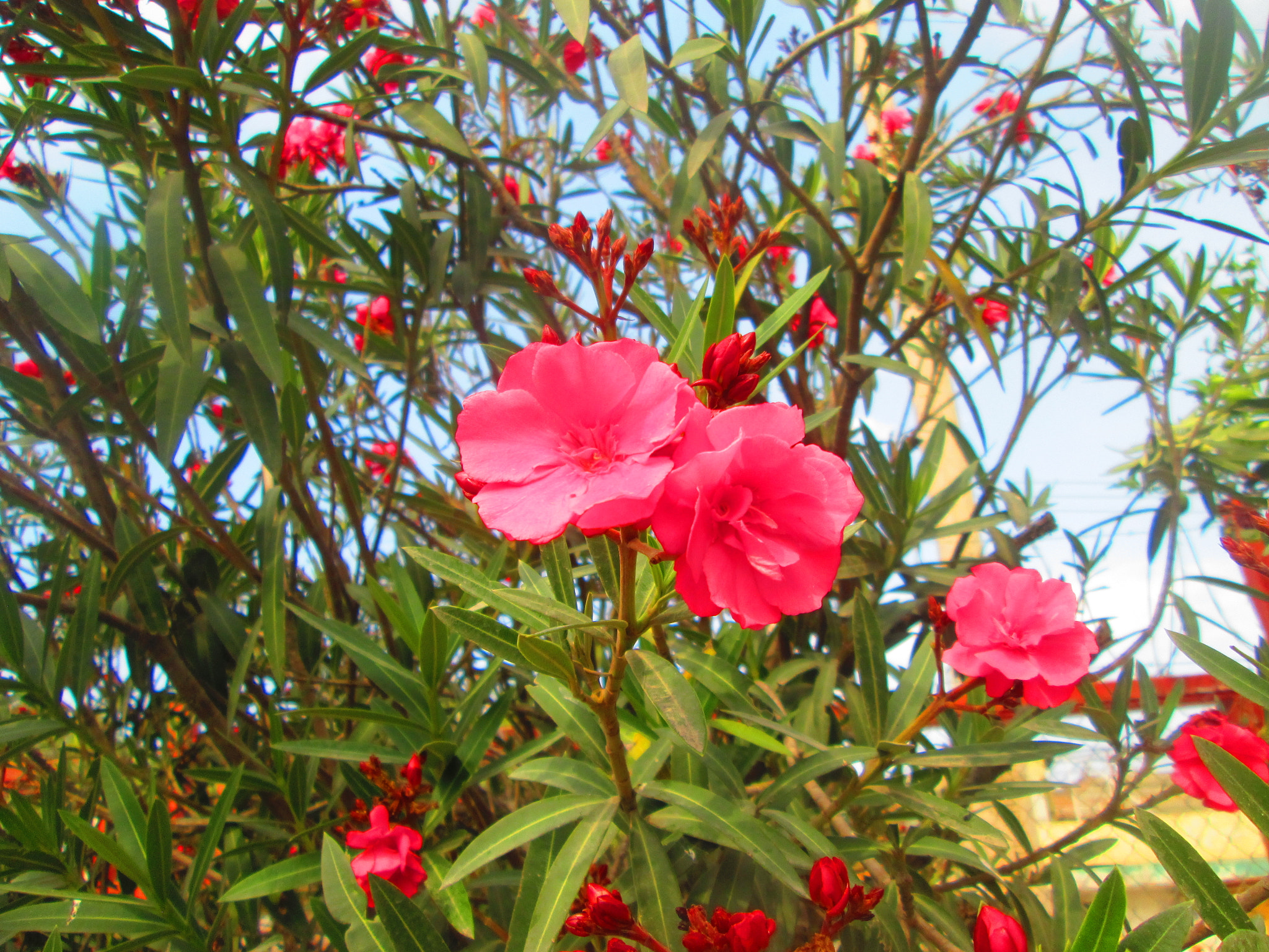 Canon PowerShot A2300 sample photo. Kind photography