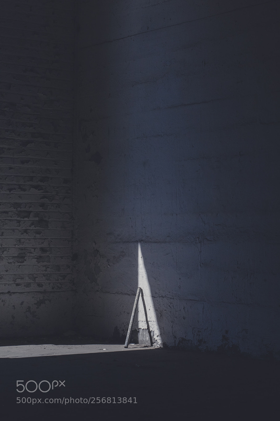 Canon EOS 5D Mark II sample photo. Solace in dissociation photography
