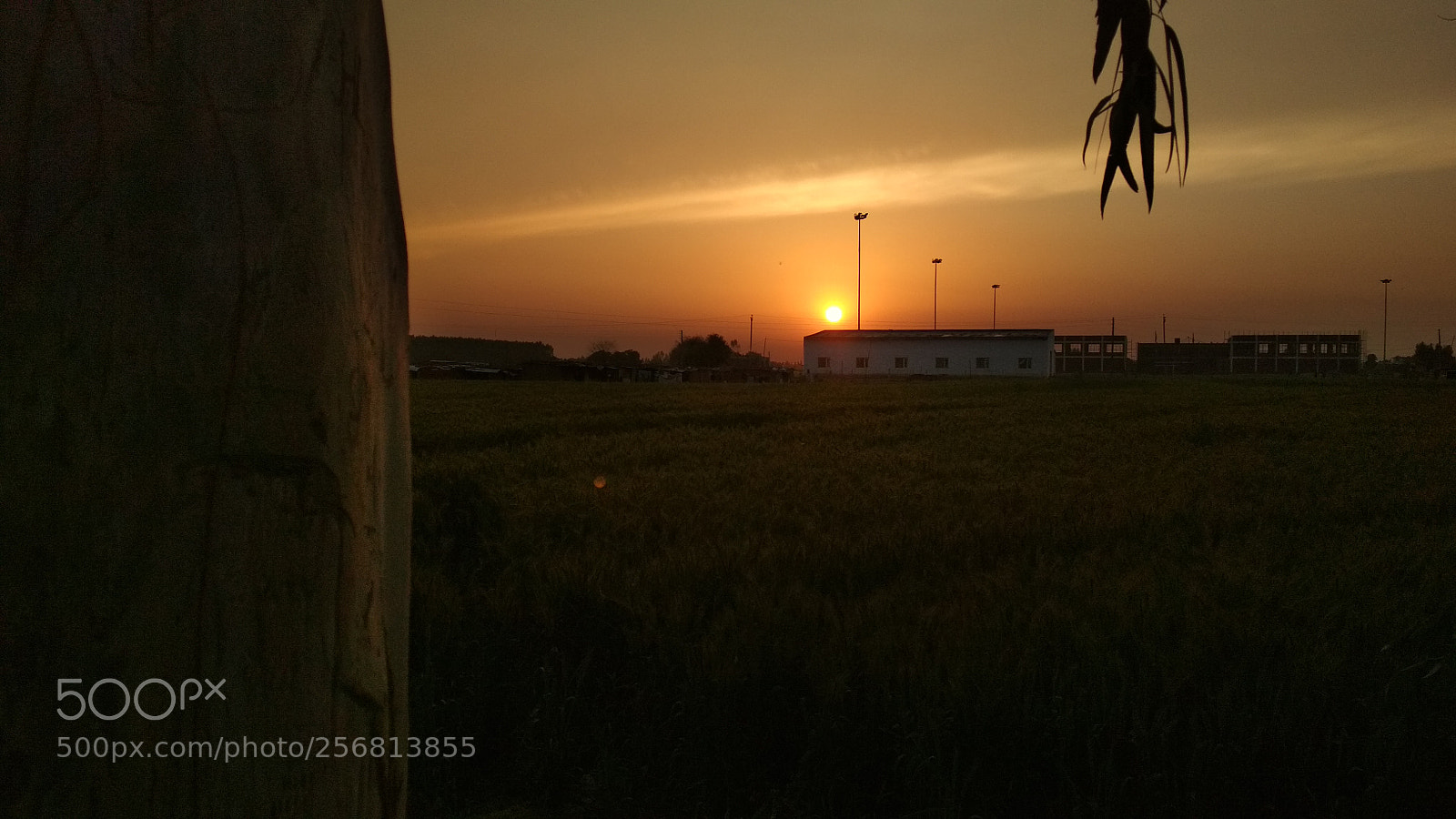 Xiaomi Redmi 4 Pro sample photo. Untitled photography