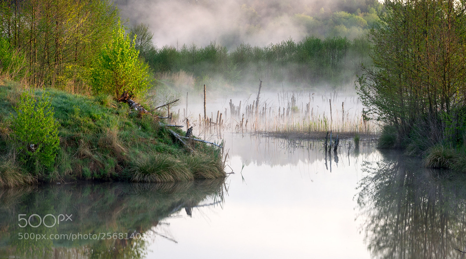 Pentax K-5 sample photo. Only nature... wierzyca river... photography