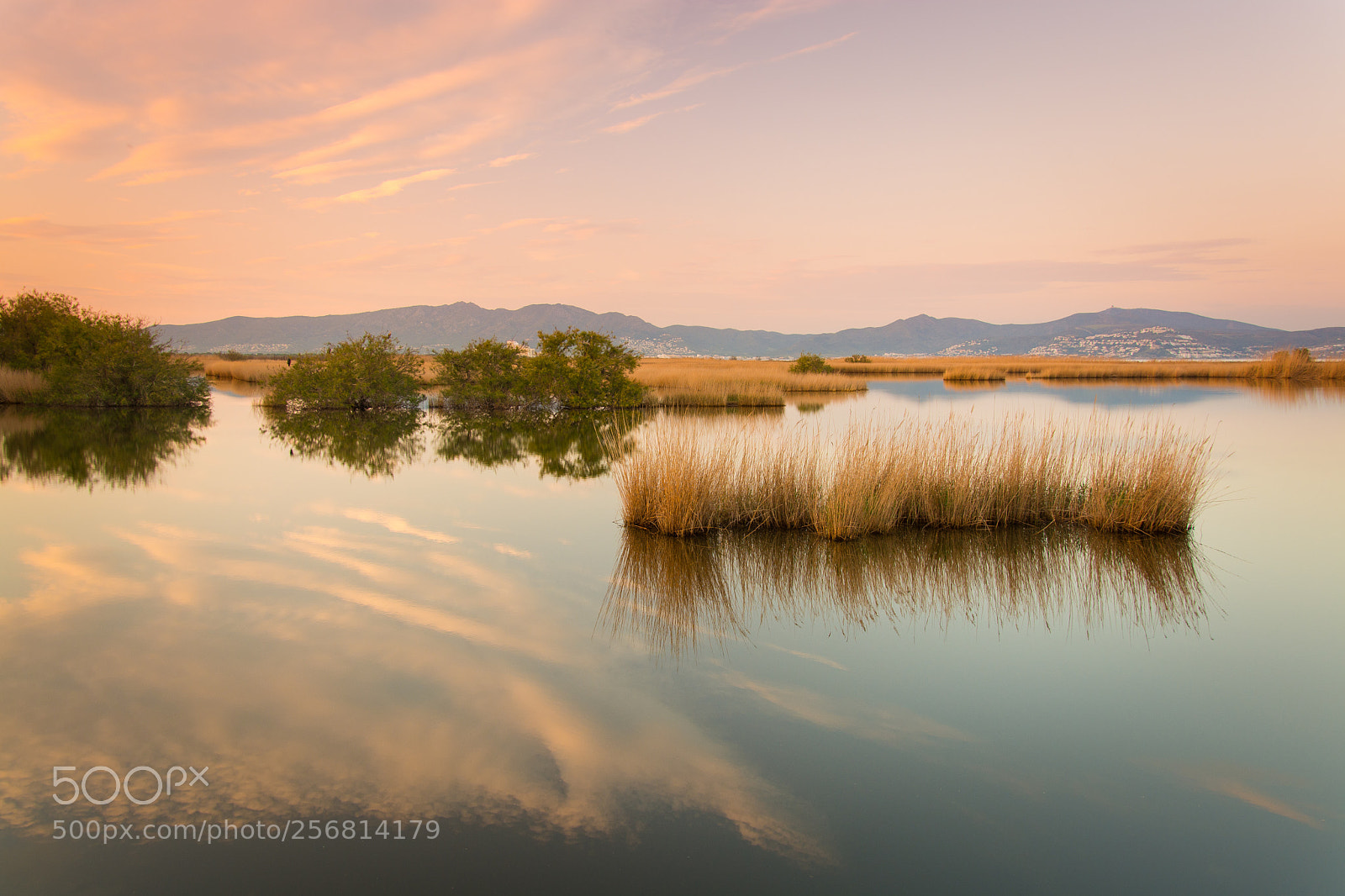 Nikon D7100 sample photo. Capvespre als aiguamolls de photography