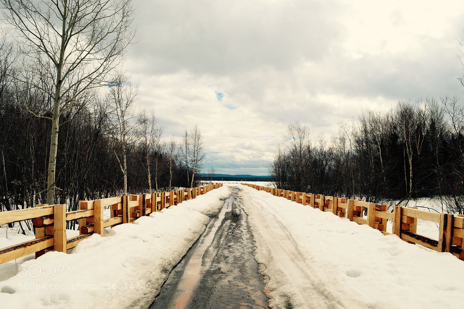 Nikon D3100 sample photo. Fullsizeoutput ca photography