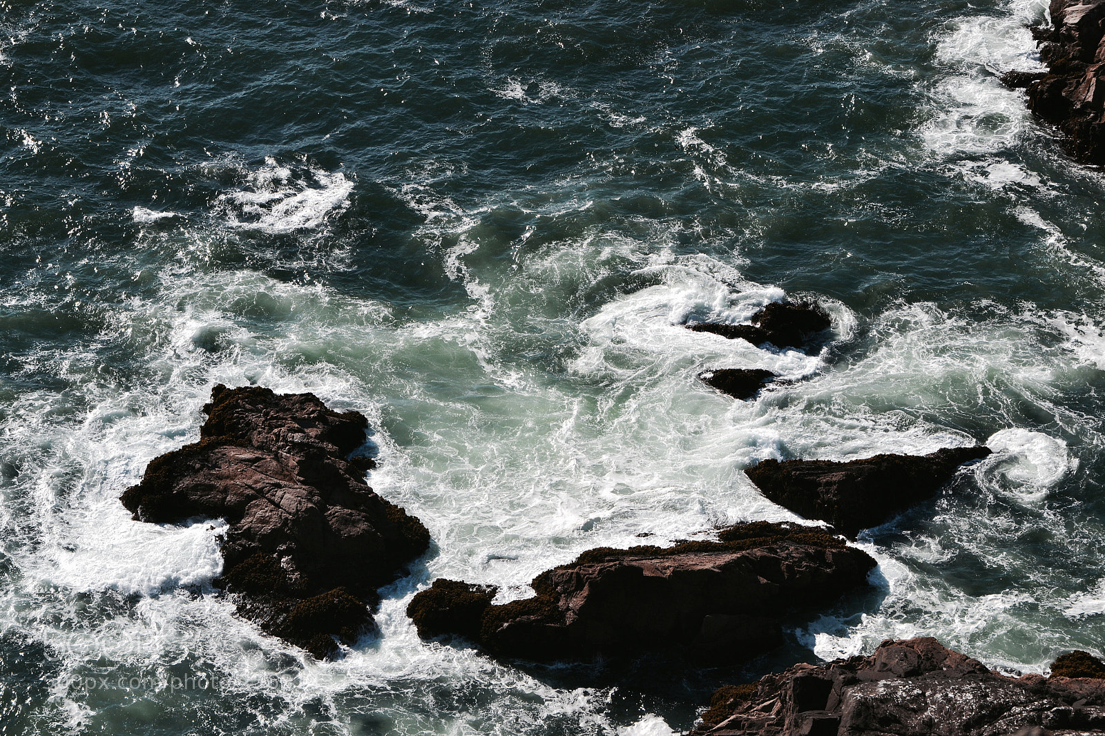 Nikon D3100 sample photo. Fullsizeoutput c photography