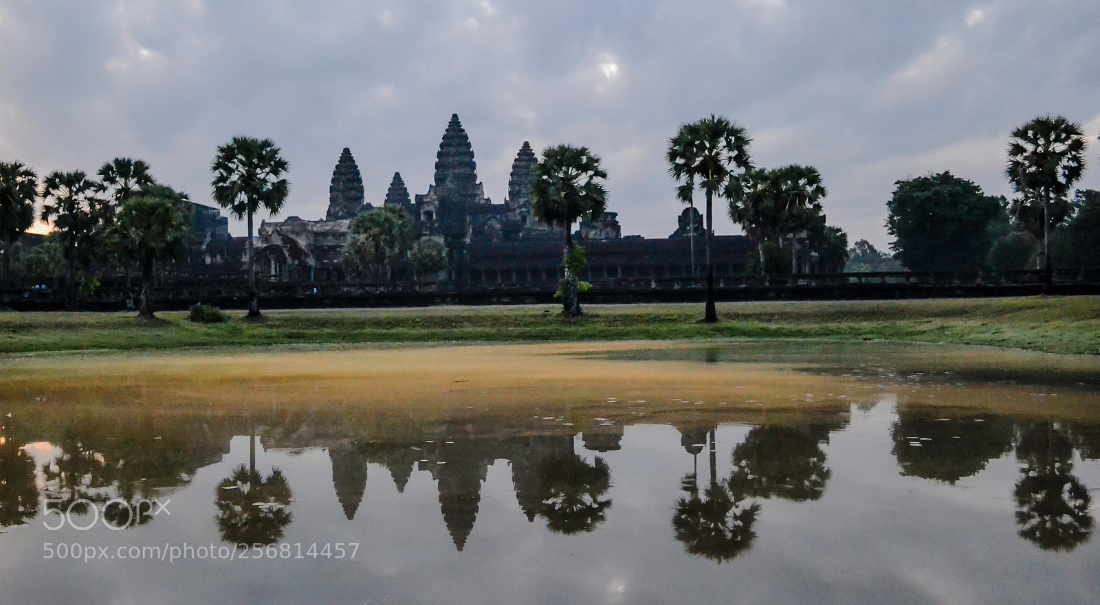 Nikon D3100 sample photo. Reflection photography