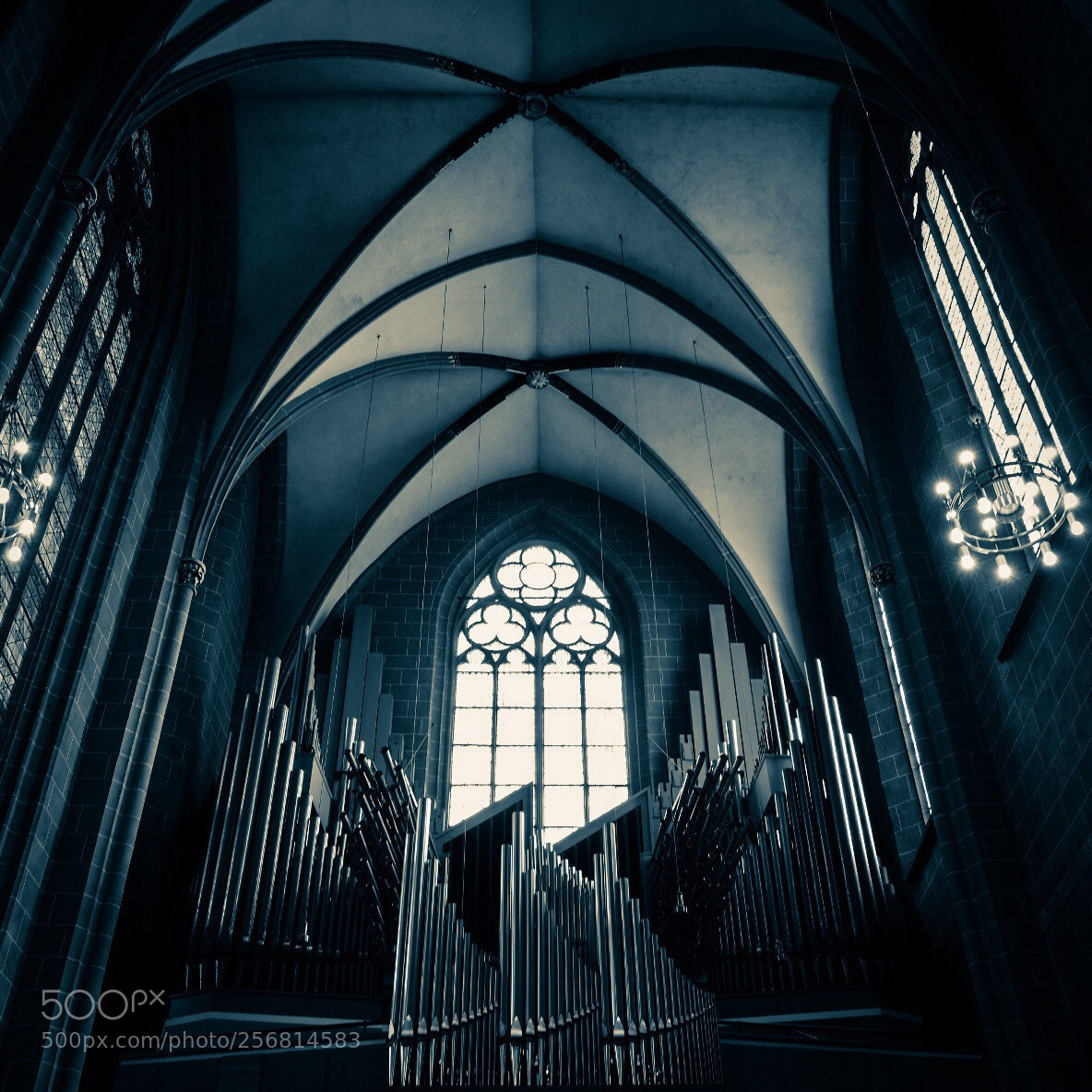 Fujifilm X-T20 sample photo. Untitled photography
