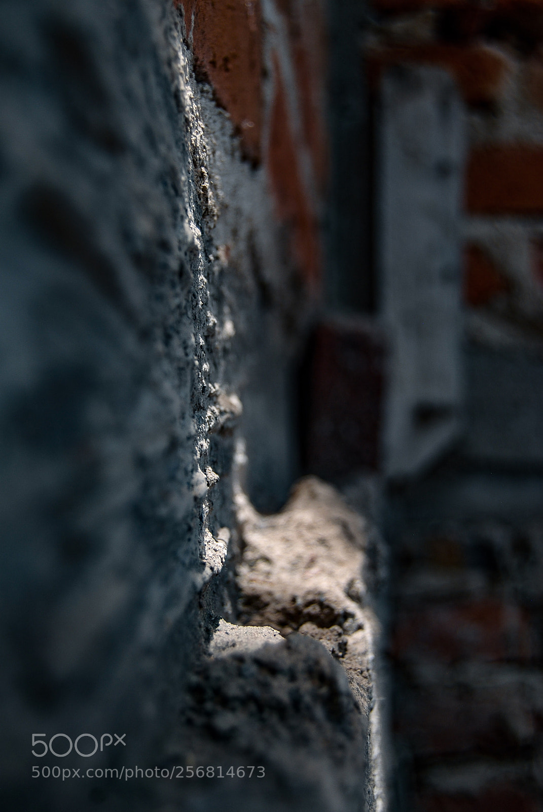 Nikon D40X sample photo. Edge photography