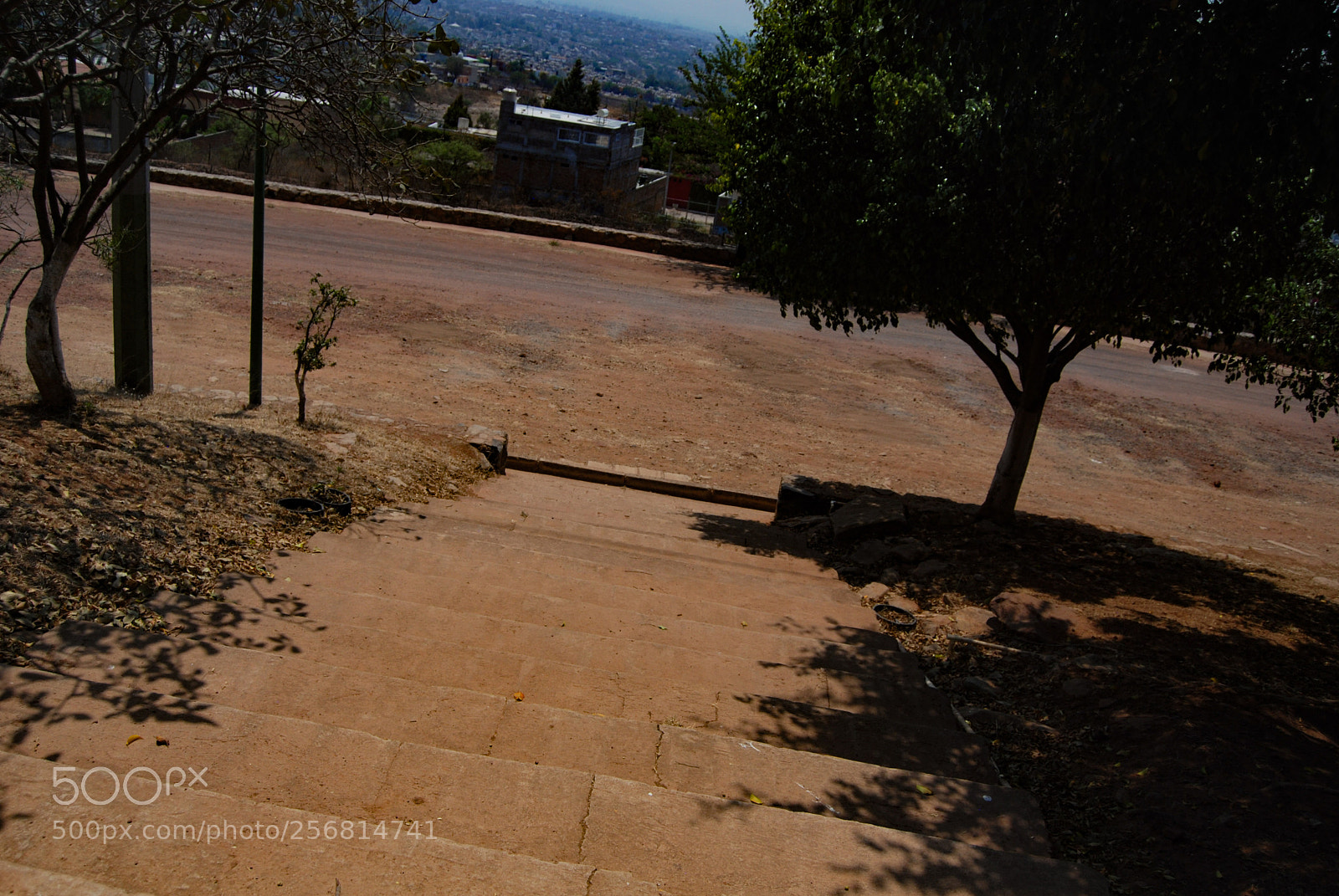 Nikon D40X sample photo. Alone photography