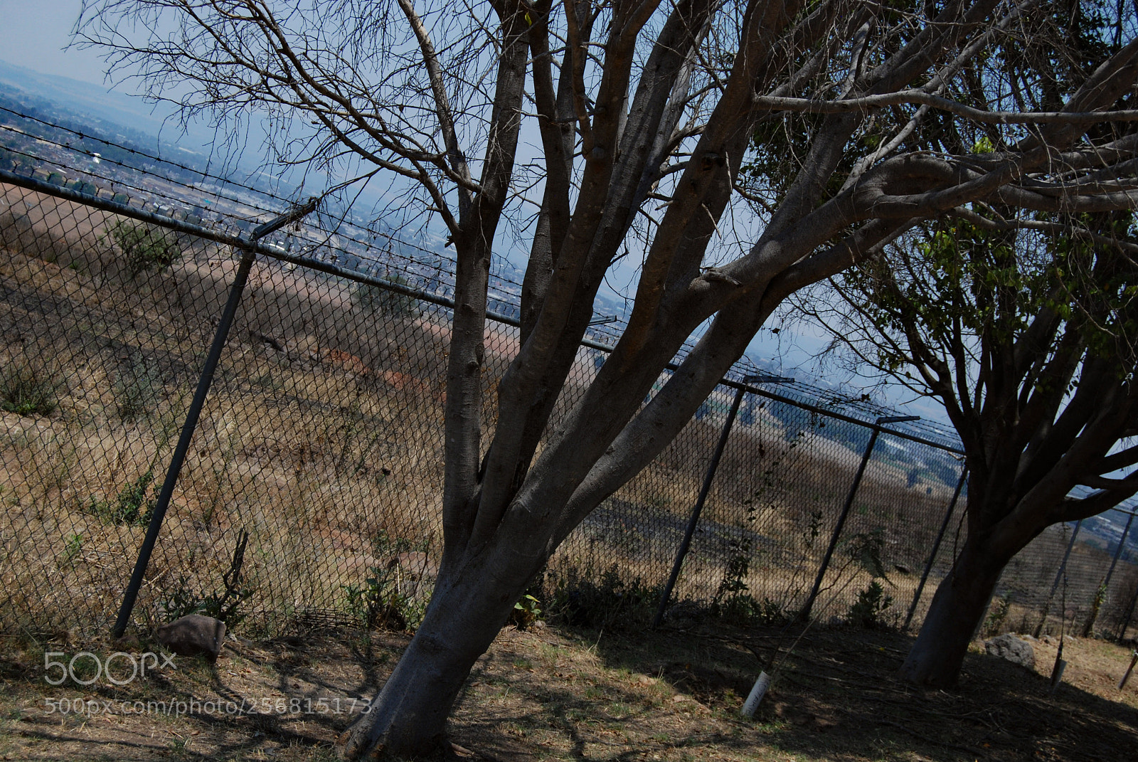 Nikon D40X sample photo. Incline photography