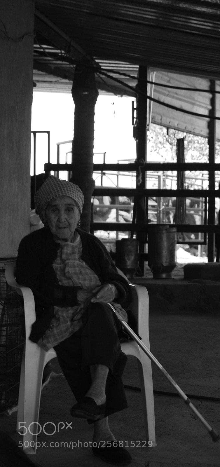 Nikon D40X sample photo. Old photography
