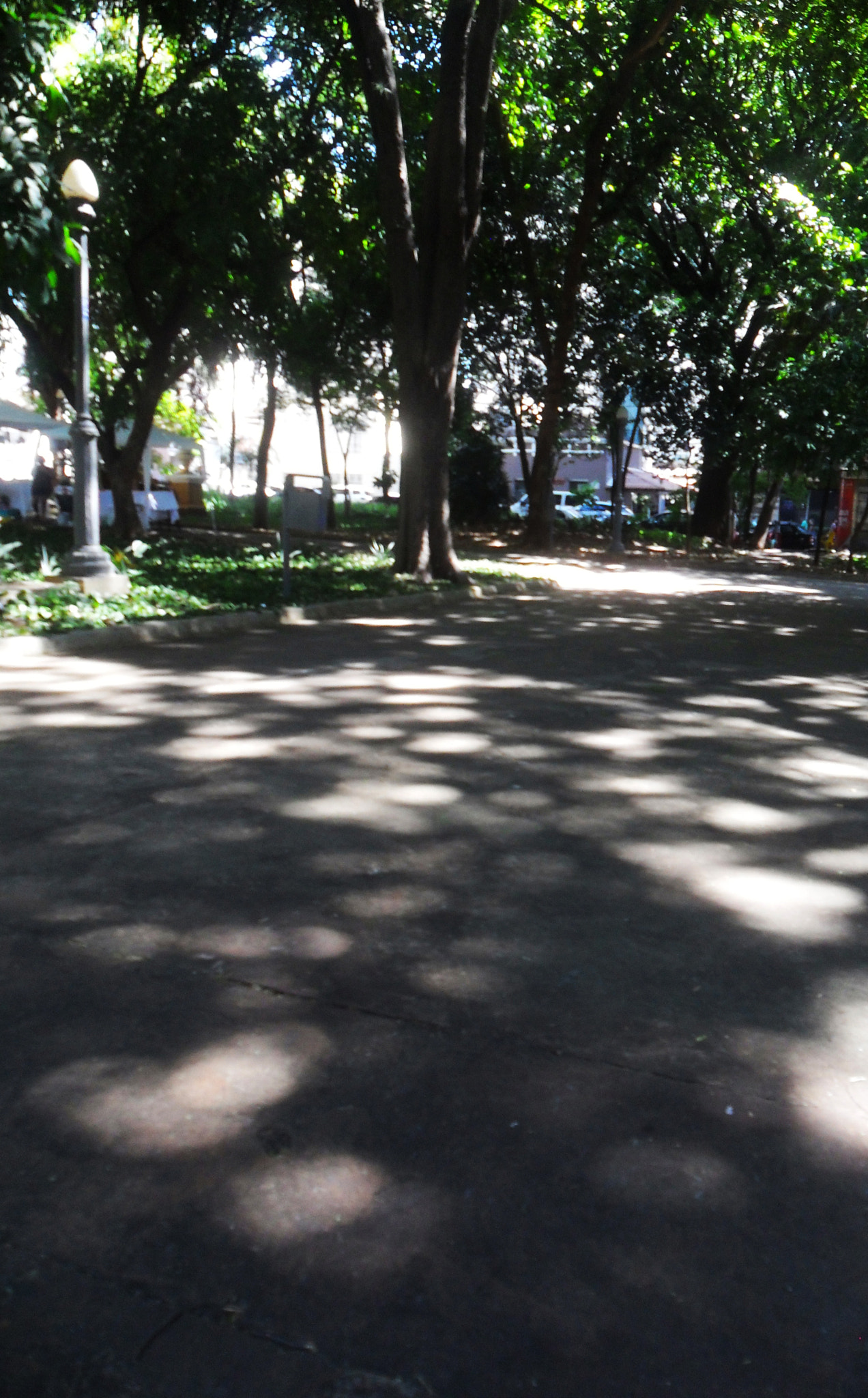 Samsung ES65, ES67 / VLUU ES65, ES67 /  SL50 sample photo. Sombras na praça photography