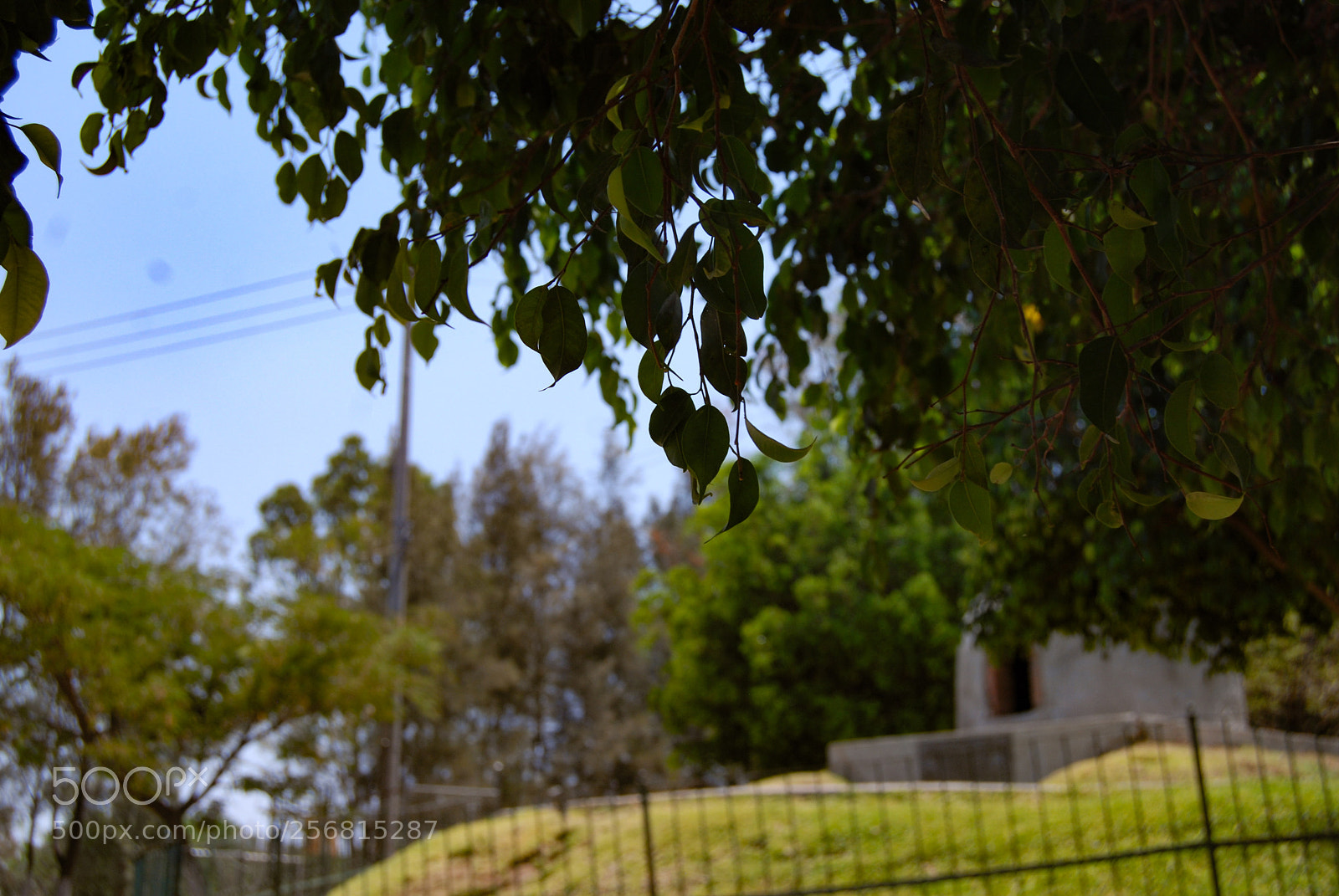 Nikon D40X sample photo. Top photography