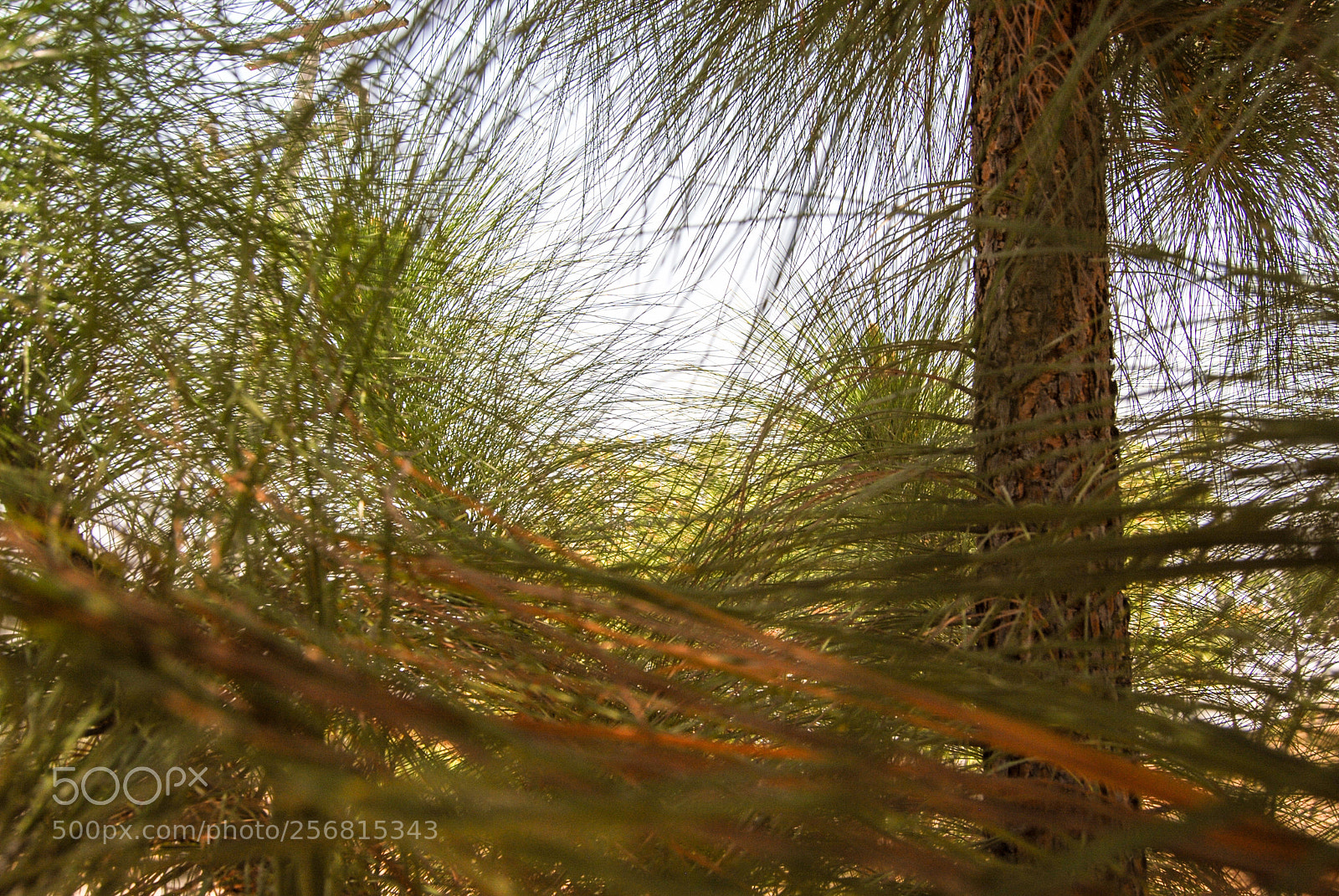 Nikon D40X sample photo. © photography