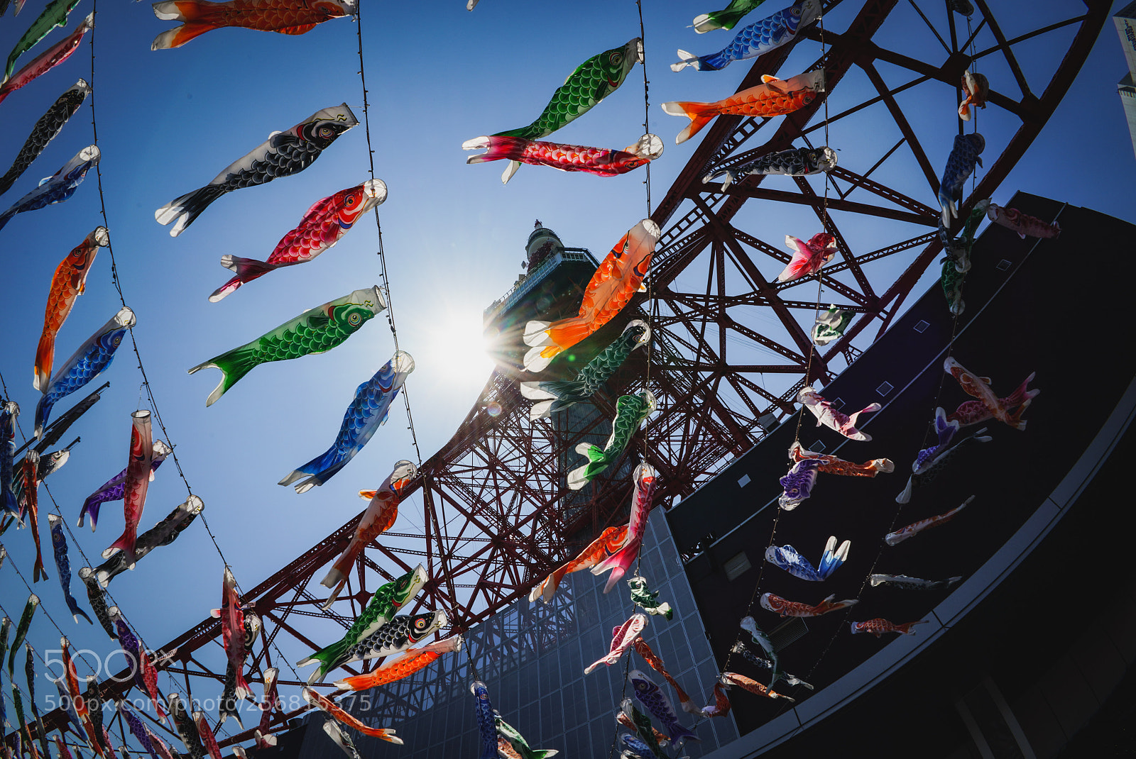 Sony a7R III sample photo. 東京タワーと鯉のぼり 2018-2 photography