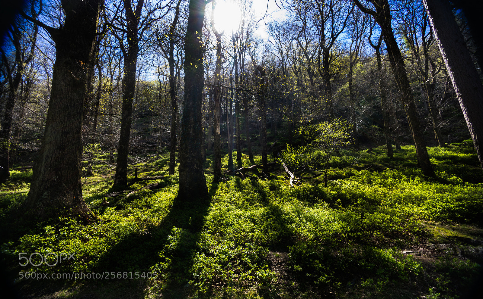 Sony a7 sample photo. Landscape photography