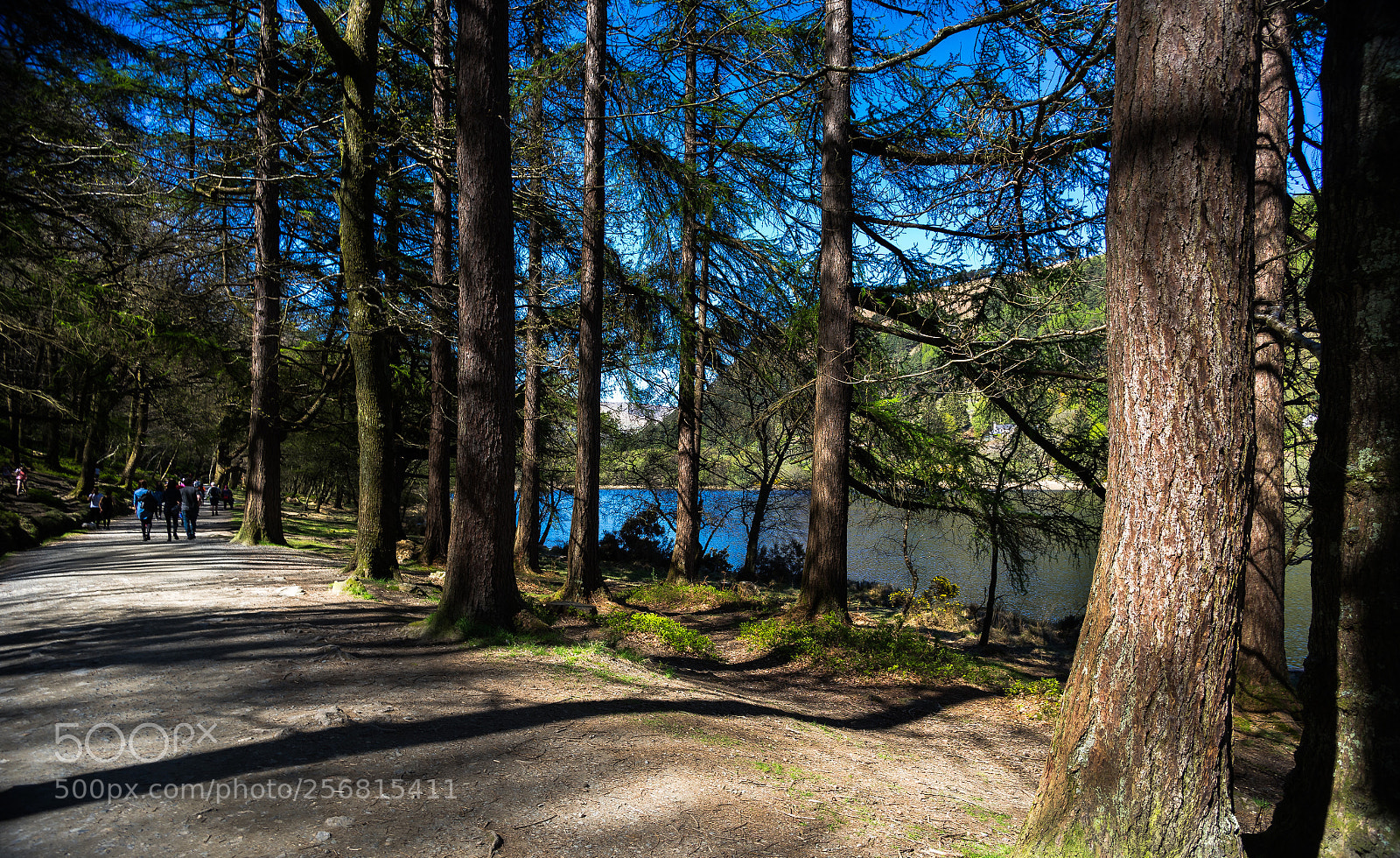 Sony a7 sample photo. Landscape photography