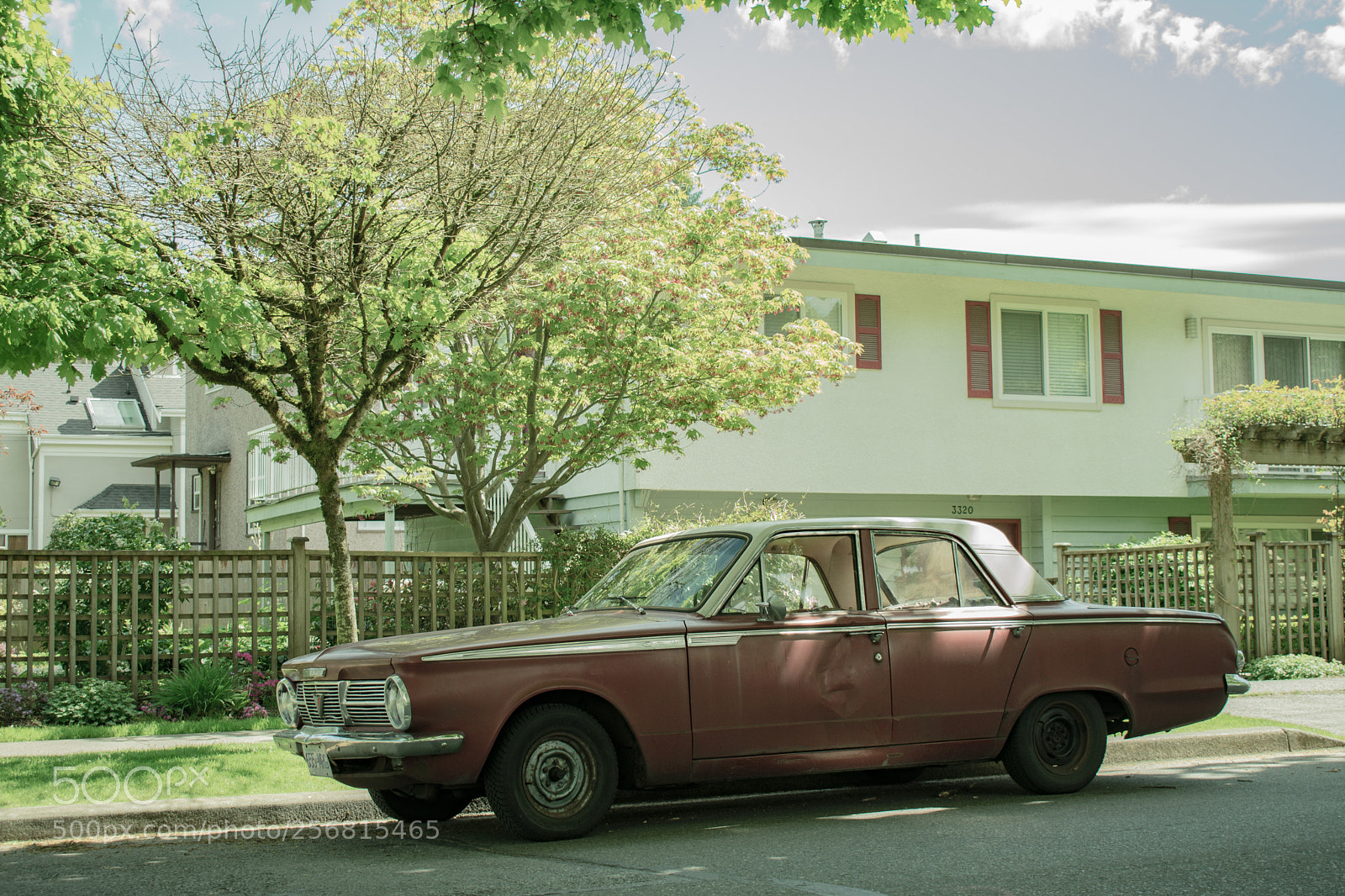 Nikon D3400 sample photo. Parked in the shade photography