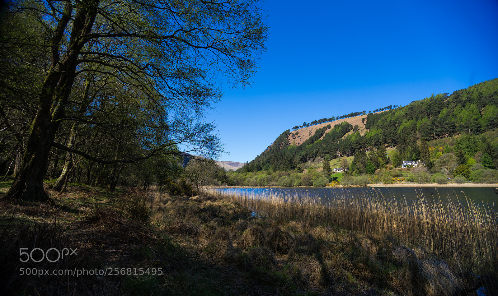 Sony a7 sample photo. Landscape photography