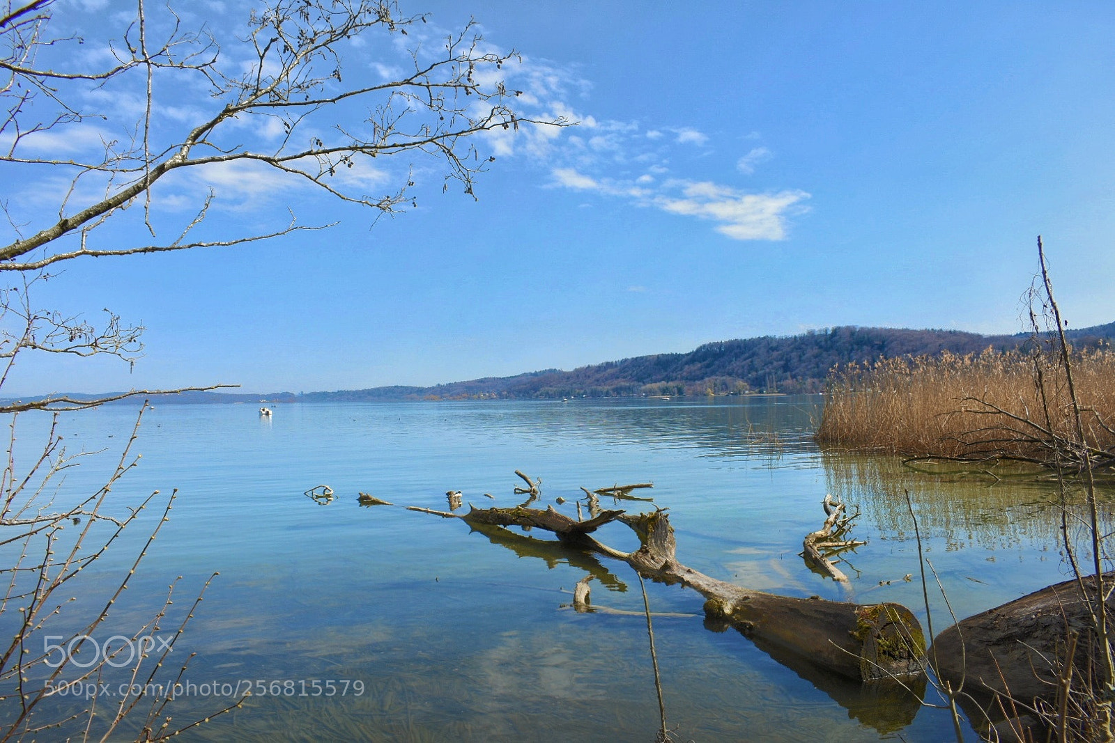 Nikon D7200 sample photo. Pure nature photography