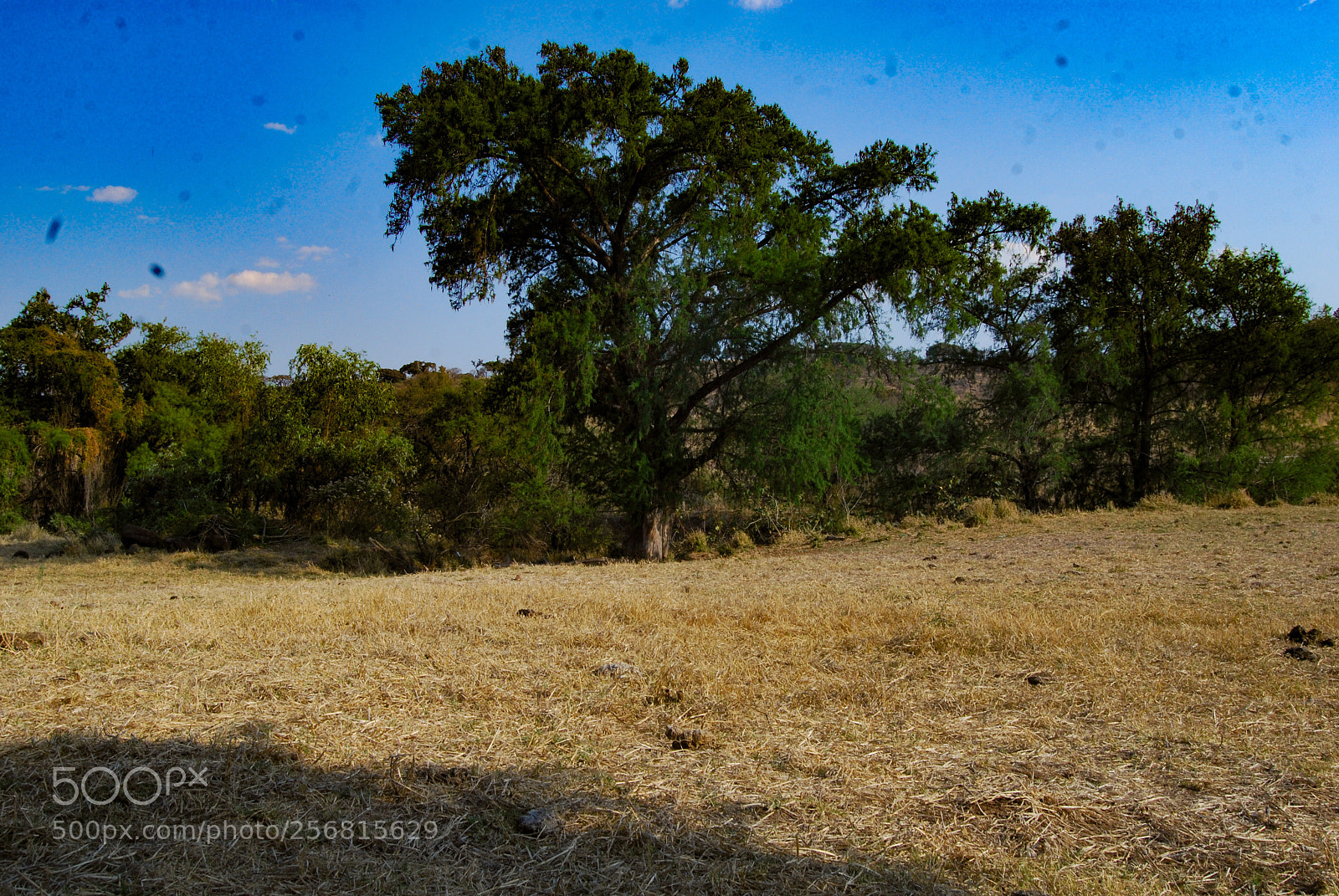 Nikon D40X sample photo. Vacations photography
