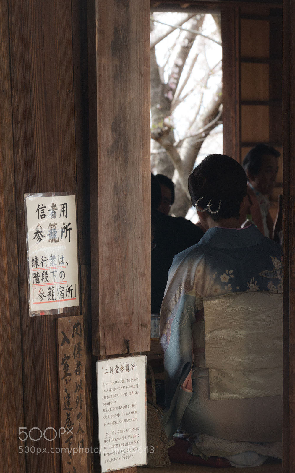 Canon EOS 70D sample photo. Hanami photography