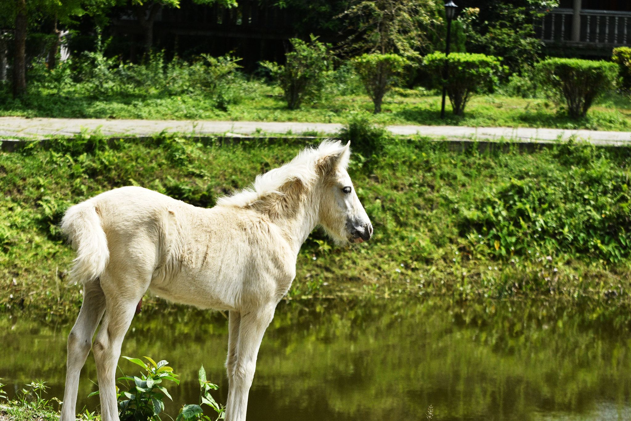 Nikon D7200 sample photo