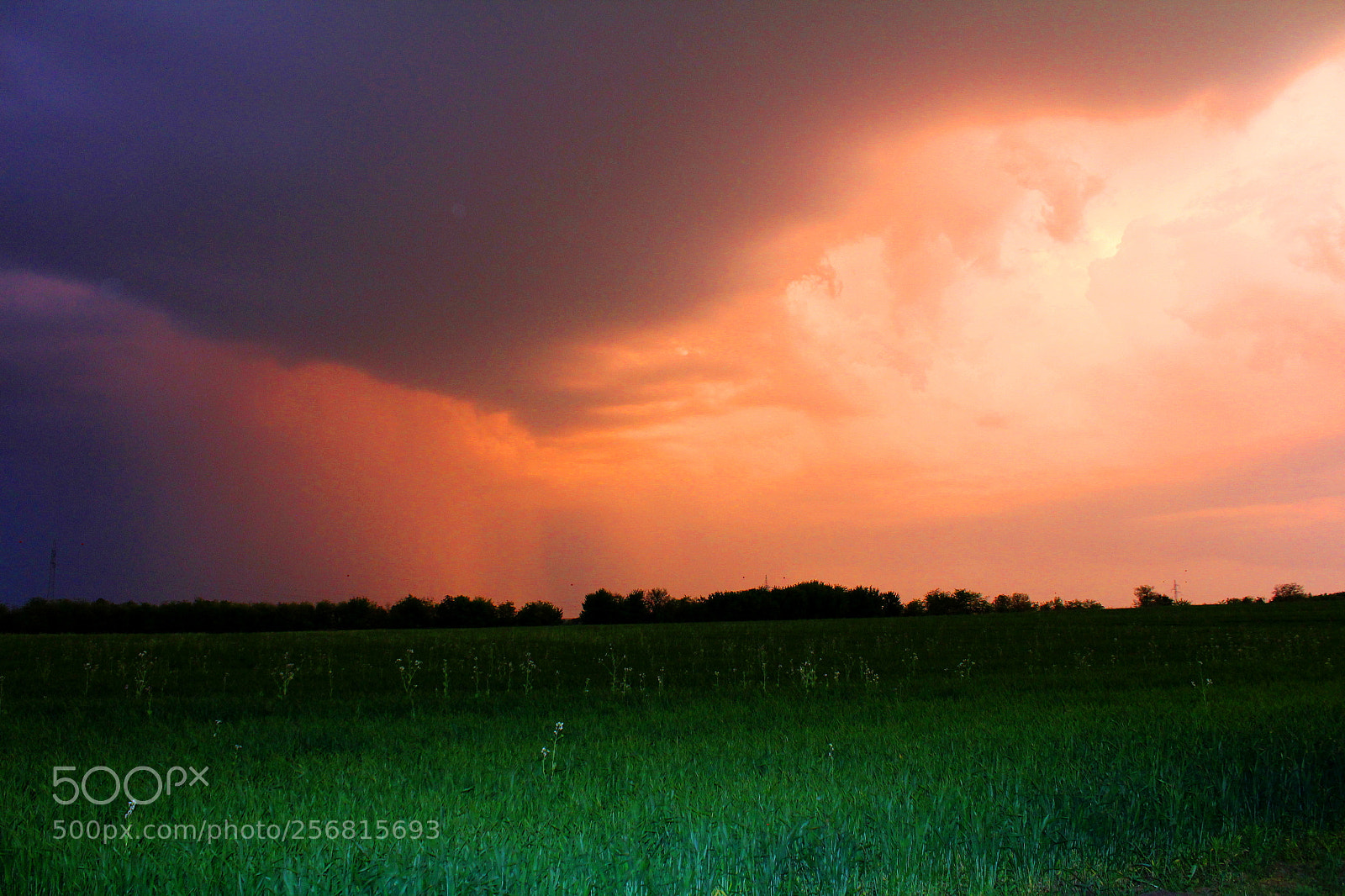Canon EOS 1200D (EOS Rebel T5 / EOS Kiss X70 / EOS Hi) sample photo. Before the storm photography