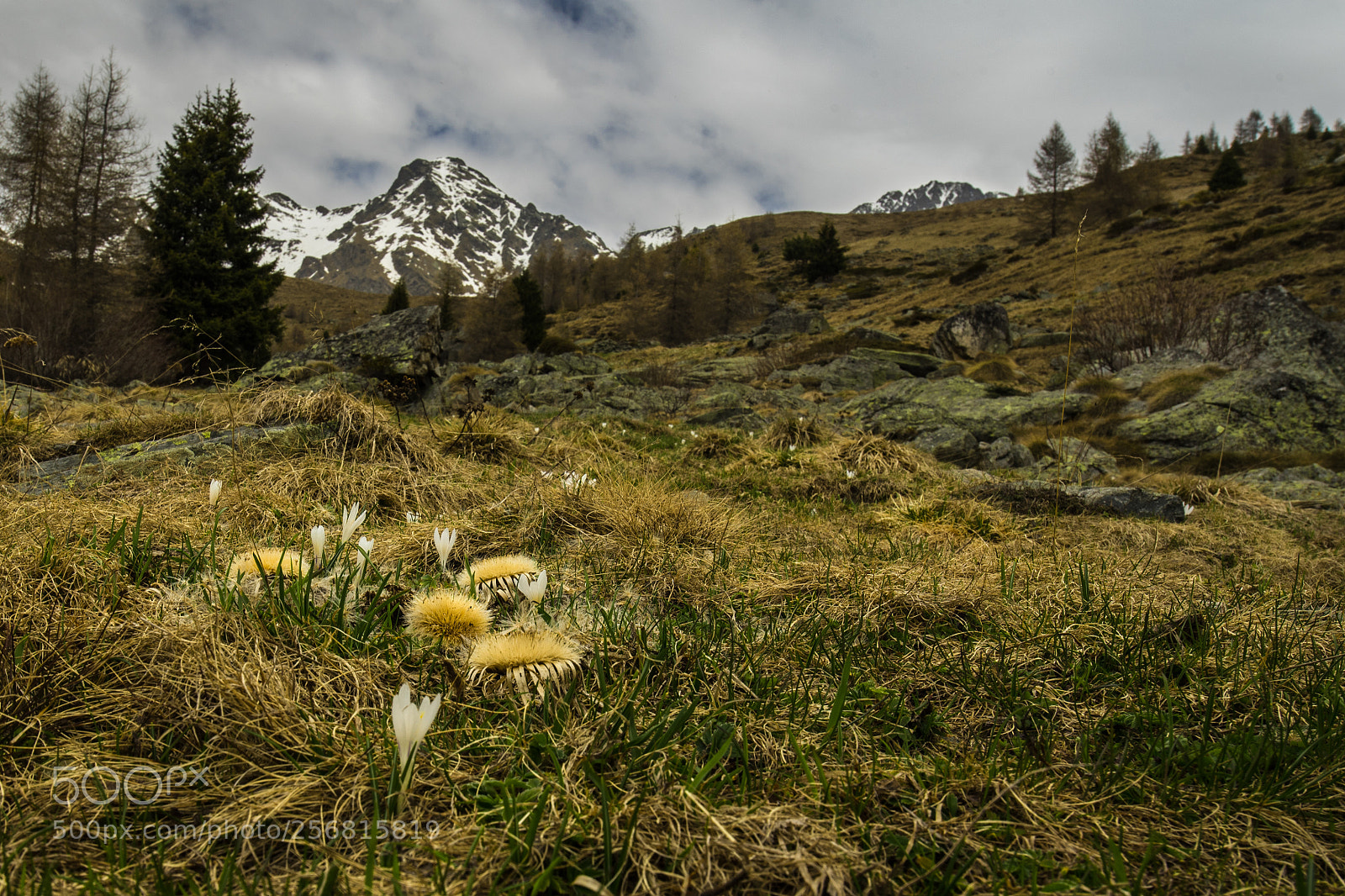 Nikon D750 sample photo. Alta valtellina <3 photography
