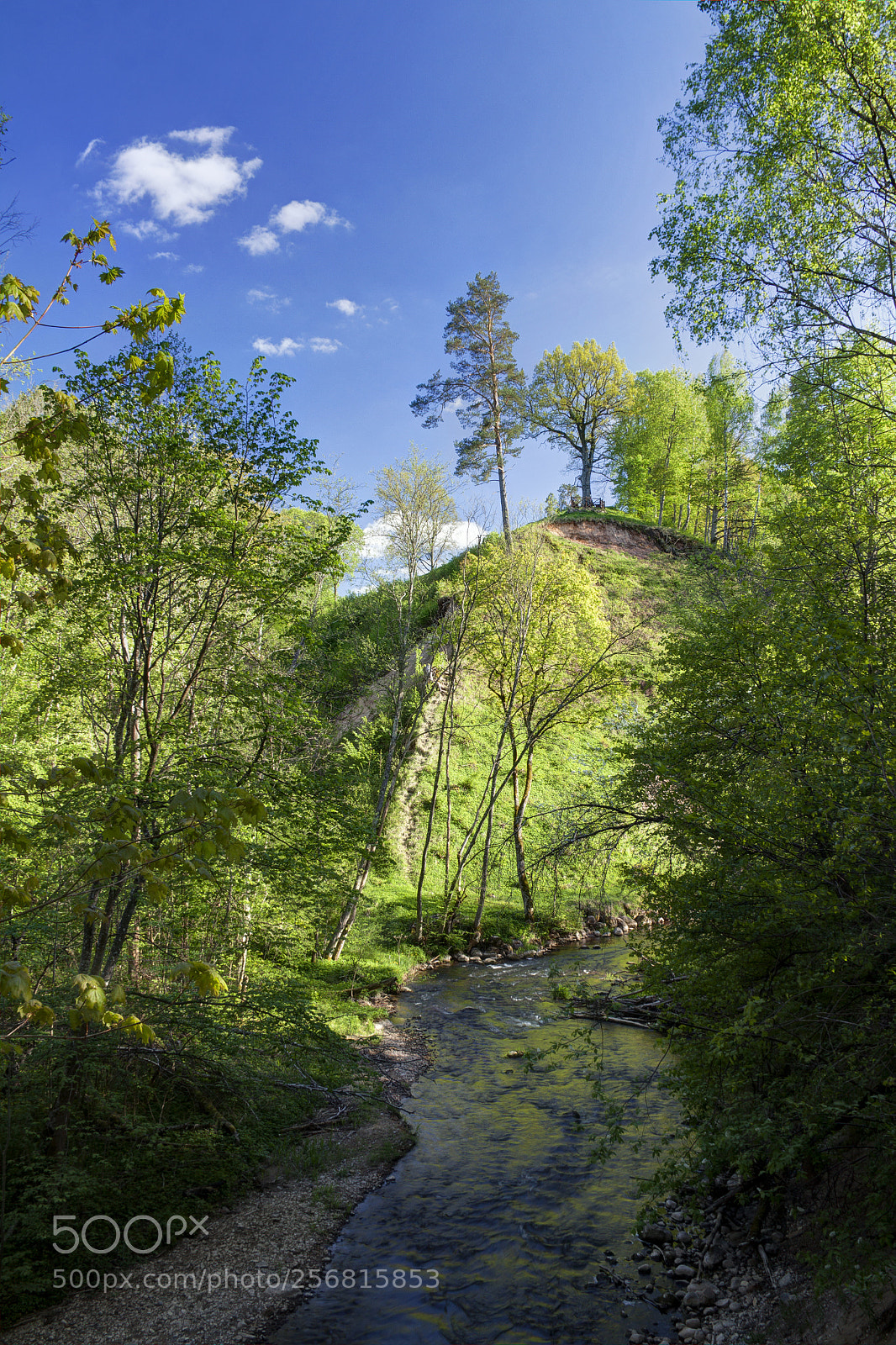 Canon EOS 50D sample photo. Woods and the brooks photography