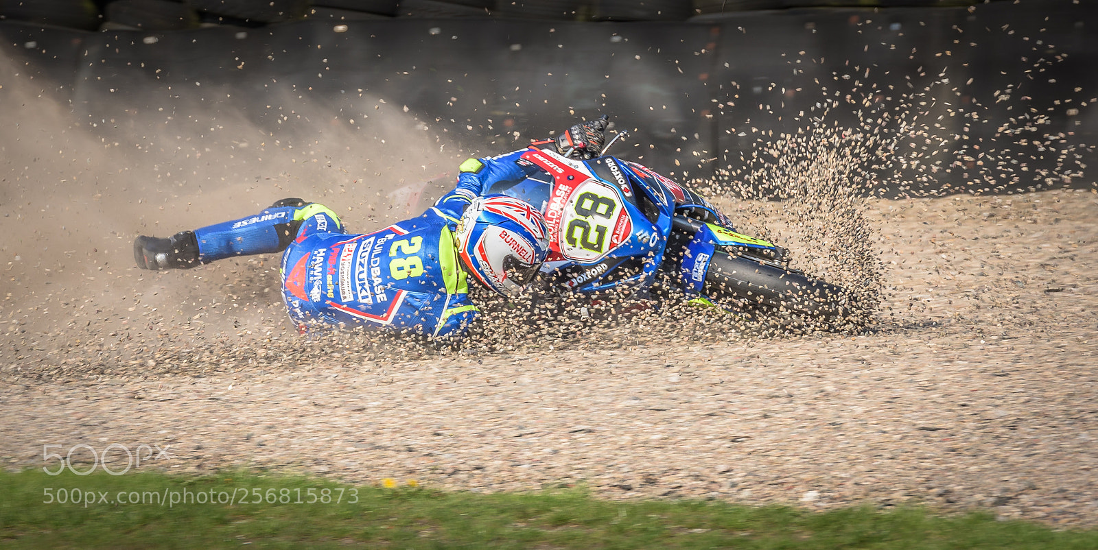 Nikon D810 sample photo. Into the kitty litter photography