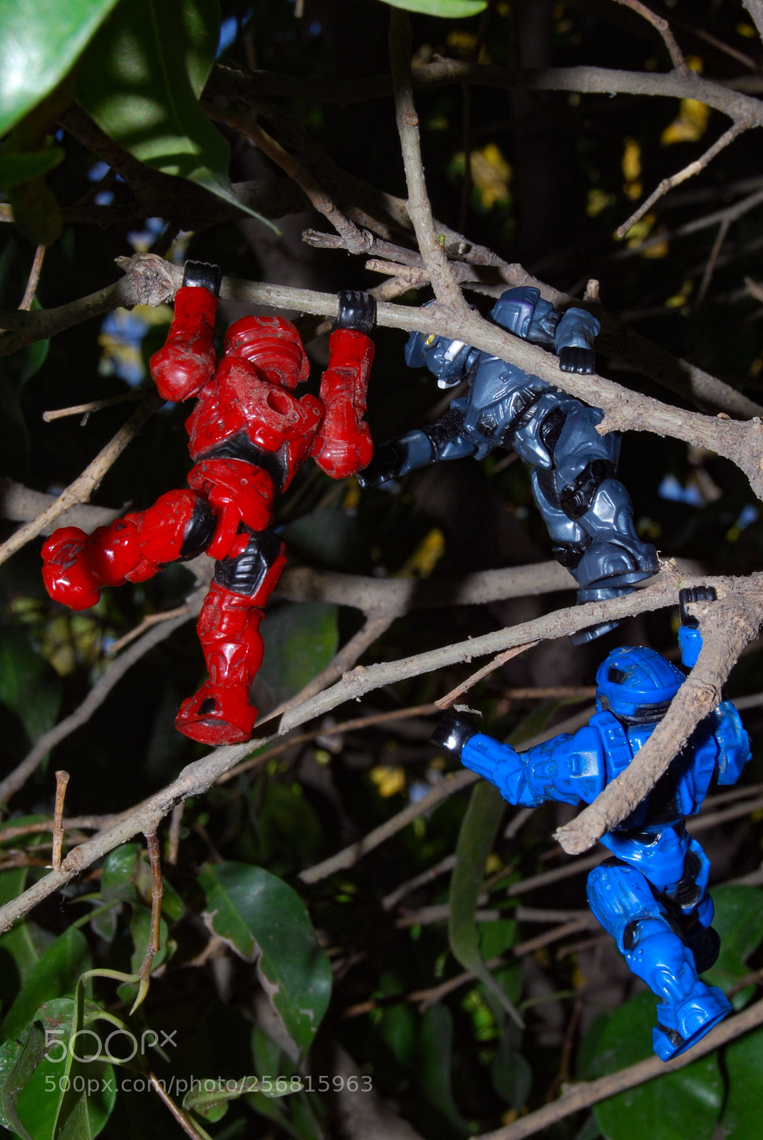 Nikon D40X sample photo. Danger photography