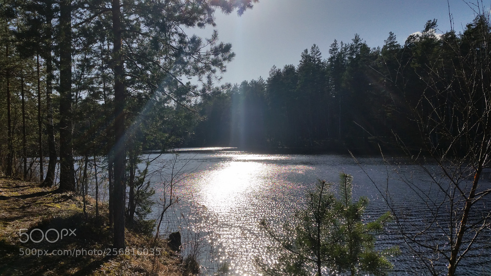Samsung Galaxy S5 sample photo. Солнечный луч, падающий в озеро. photography